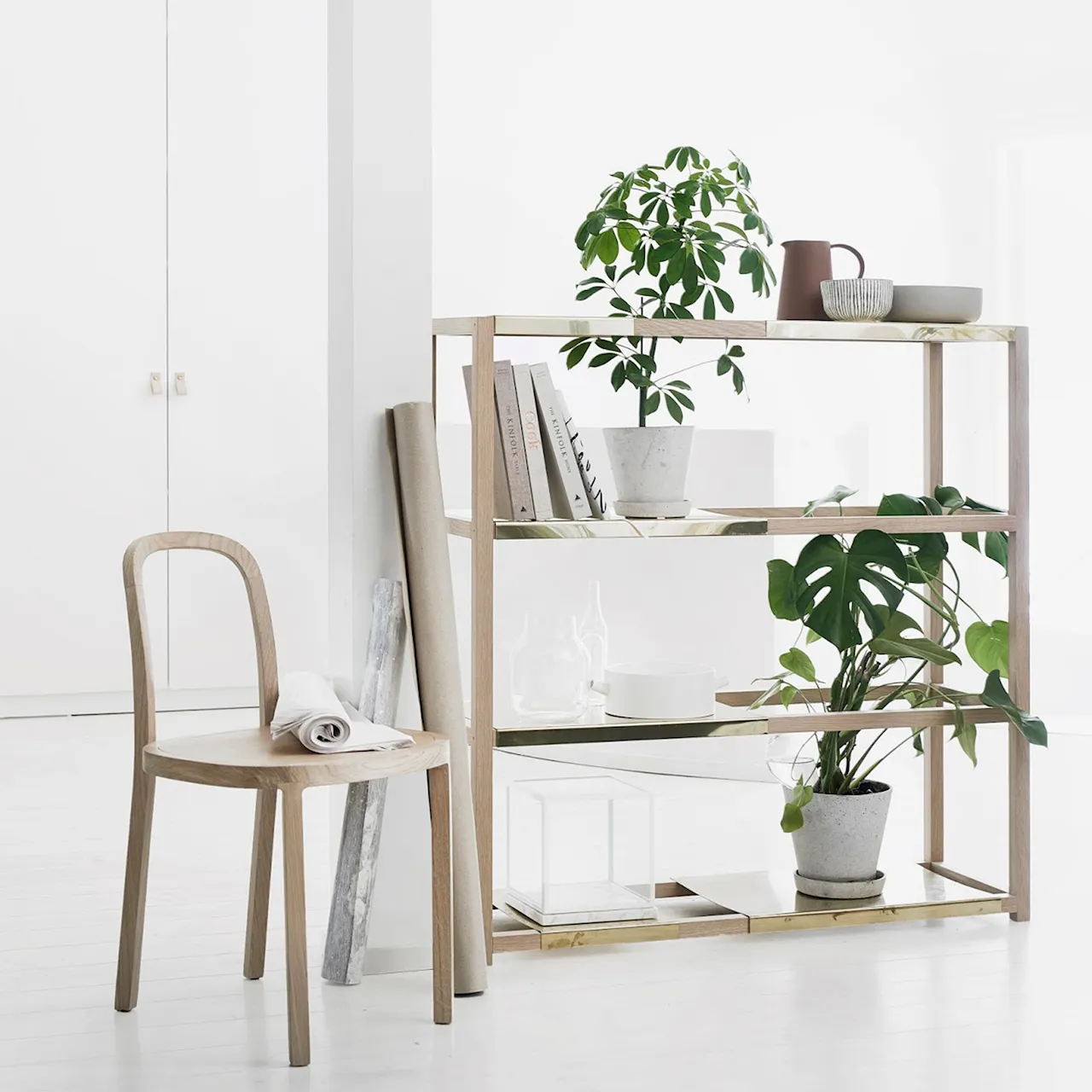 Botanic hylla hög