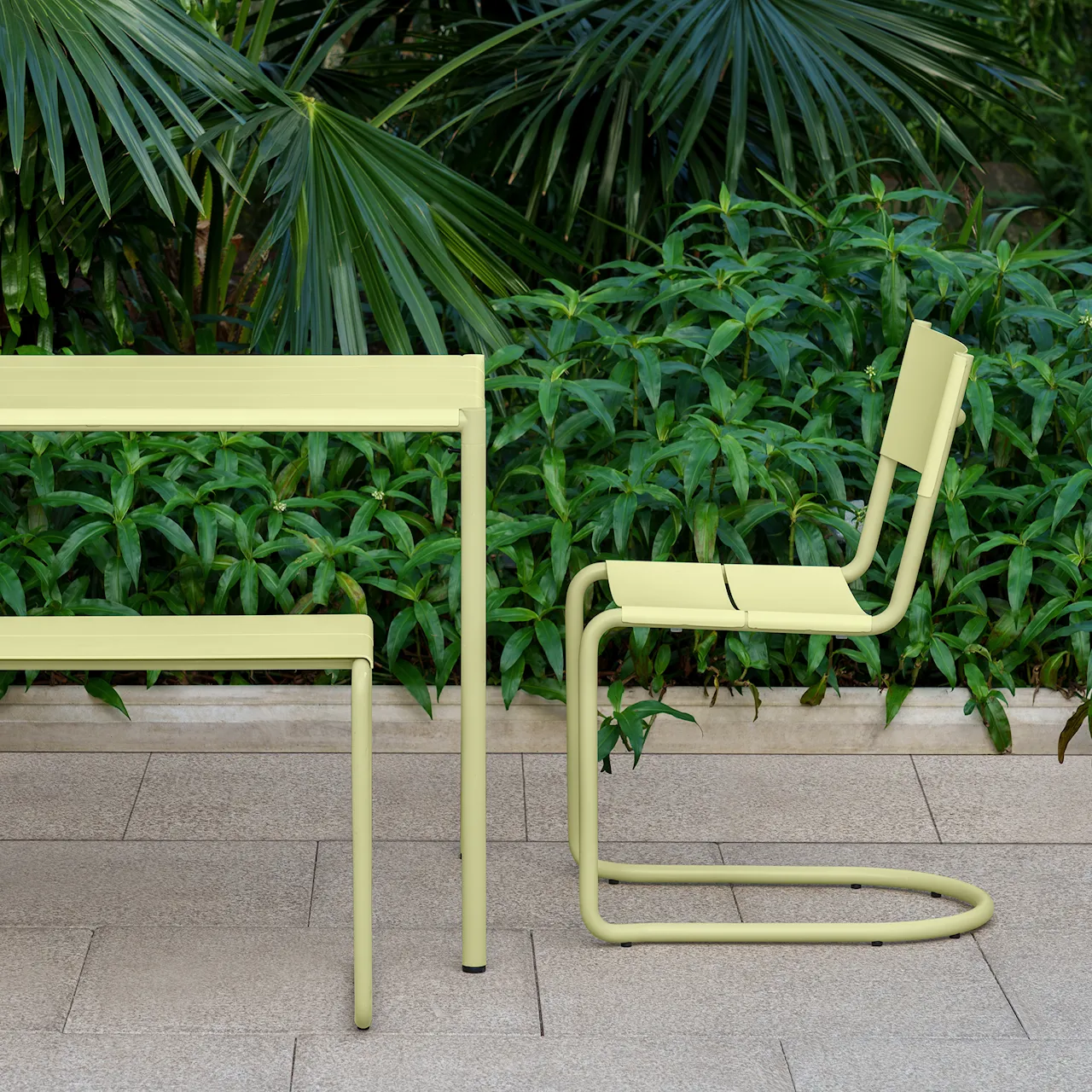 Sine - Dining Chair Yellow