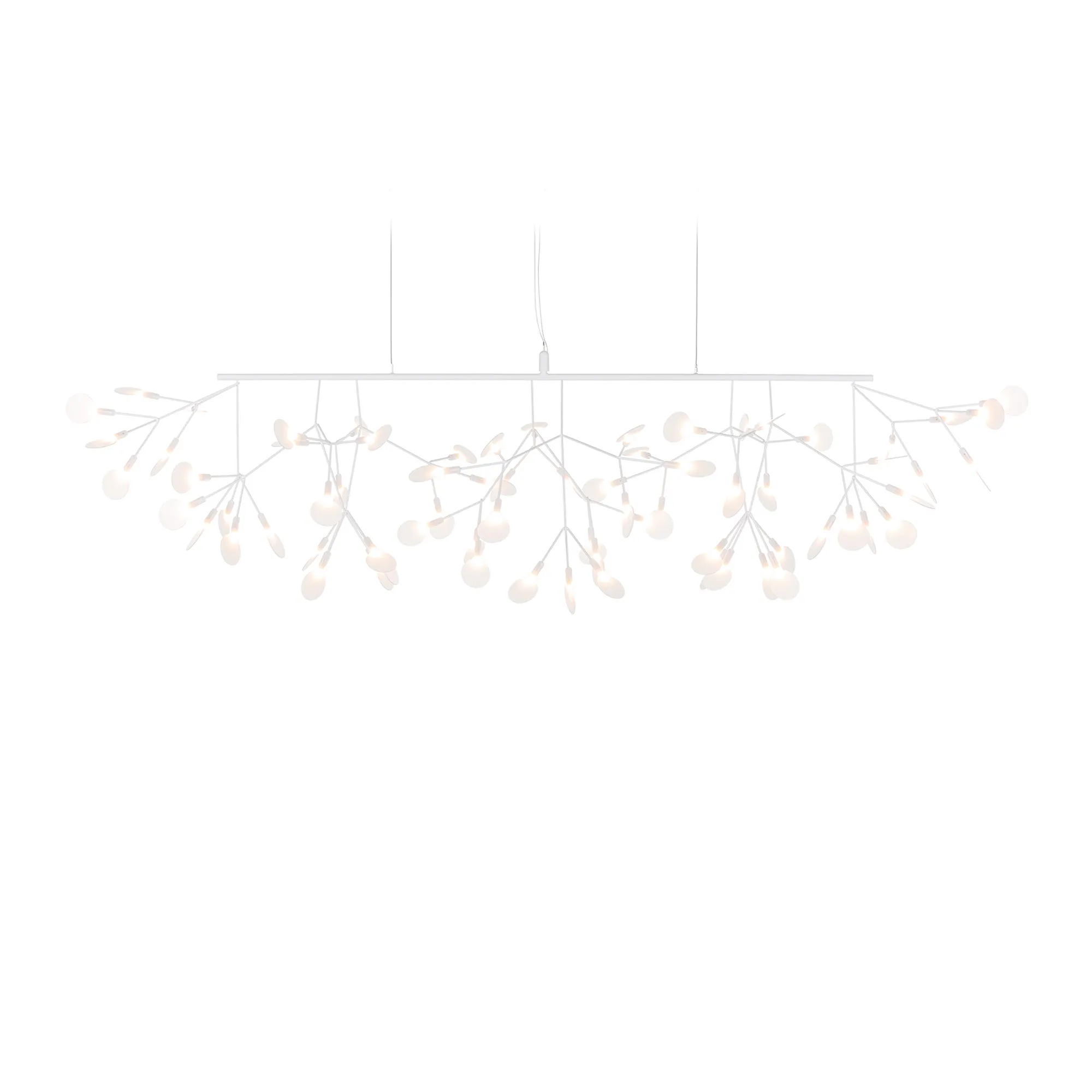 Heracleum III Linear takkrona - 1