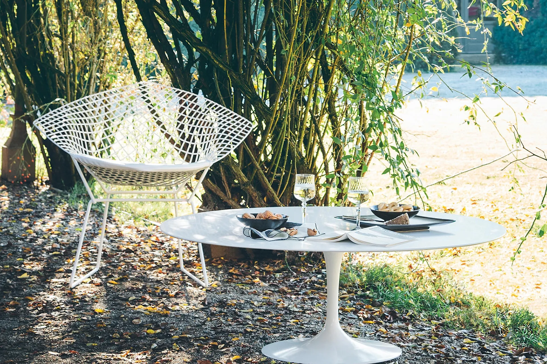 Bertoia Diamond Chair Outdoor - Dyna - Knoll - Harry Bertoia - NO GA