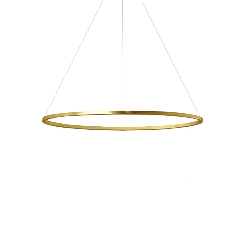 Ellisse Minor Pendant, Downlight - 1
