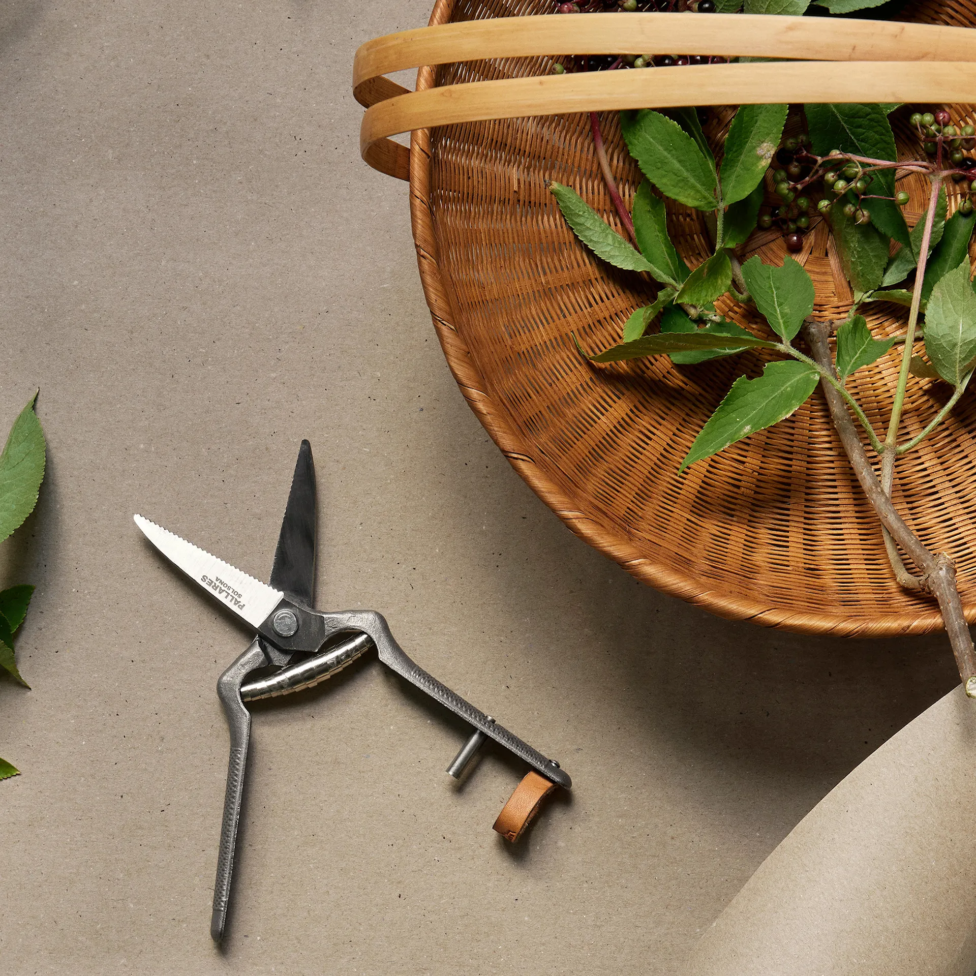 Pallares x Menu Plant Pruner - Audo Copenhagen - NO GA