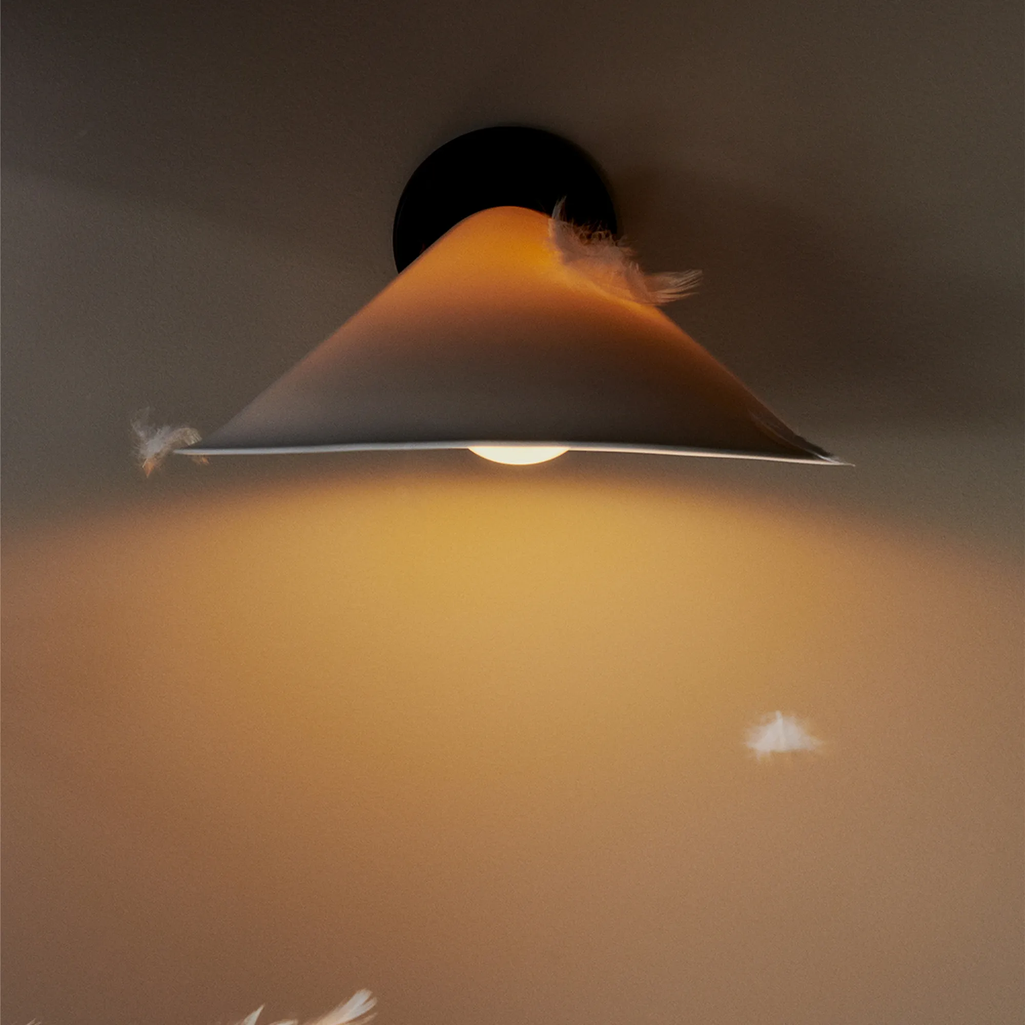 Plume - 16