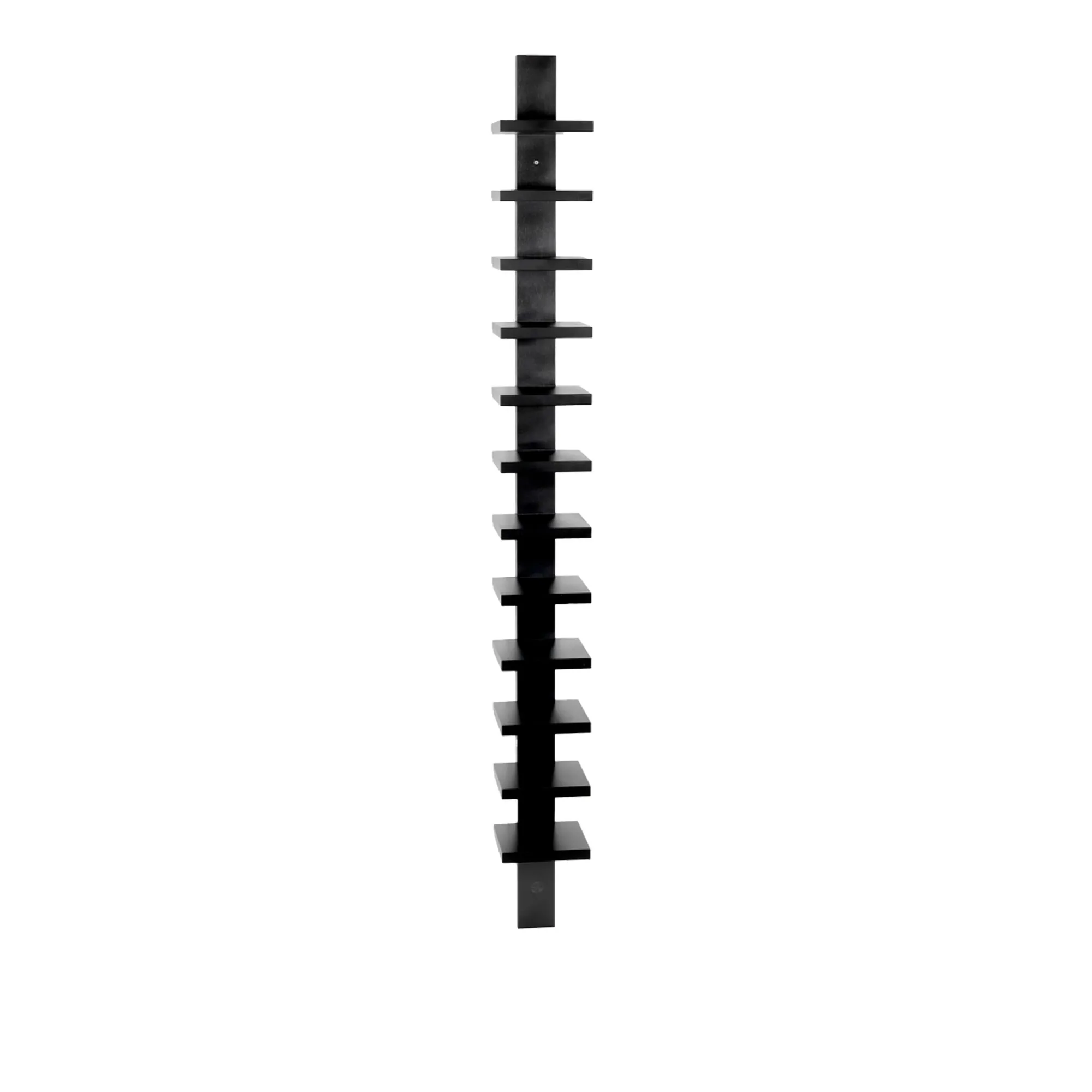 image 1 of 11