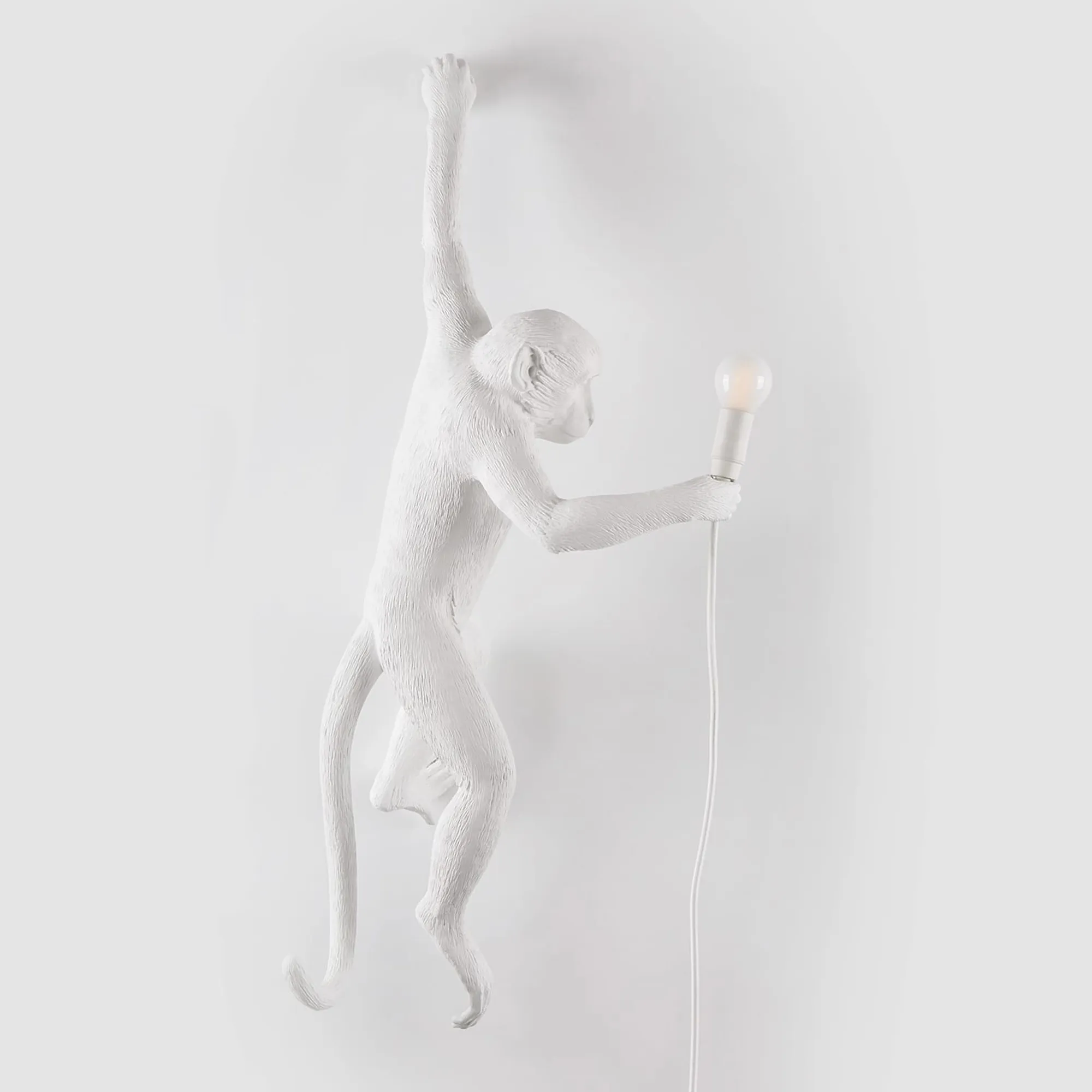 Monkey Lamp Hanging - 3