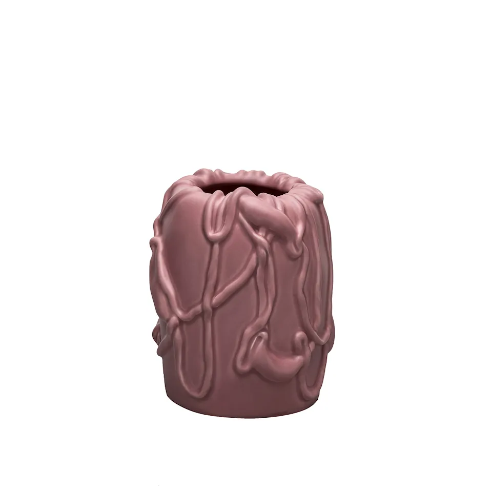 Jam vas stor nostalgia rose