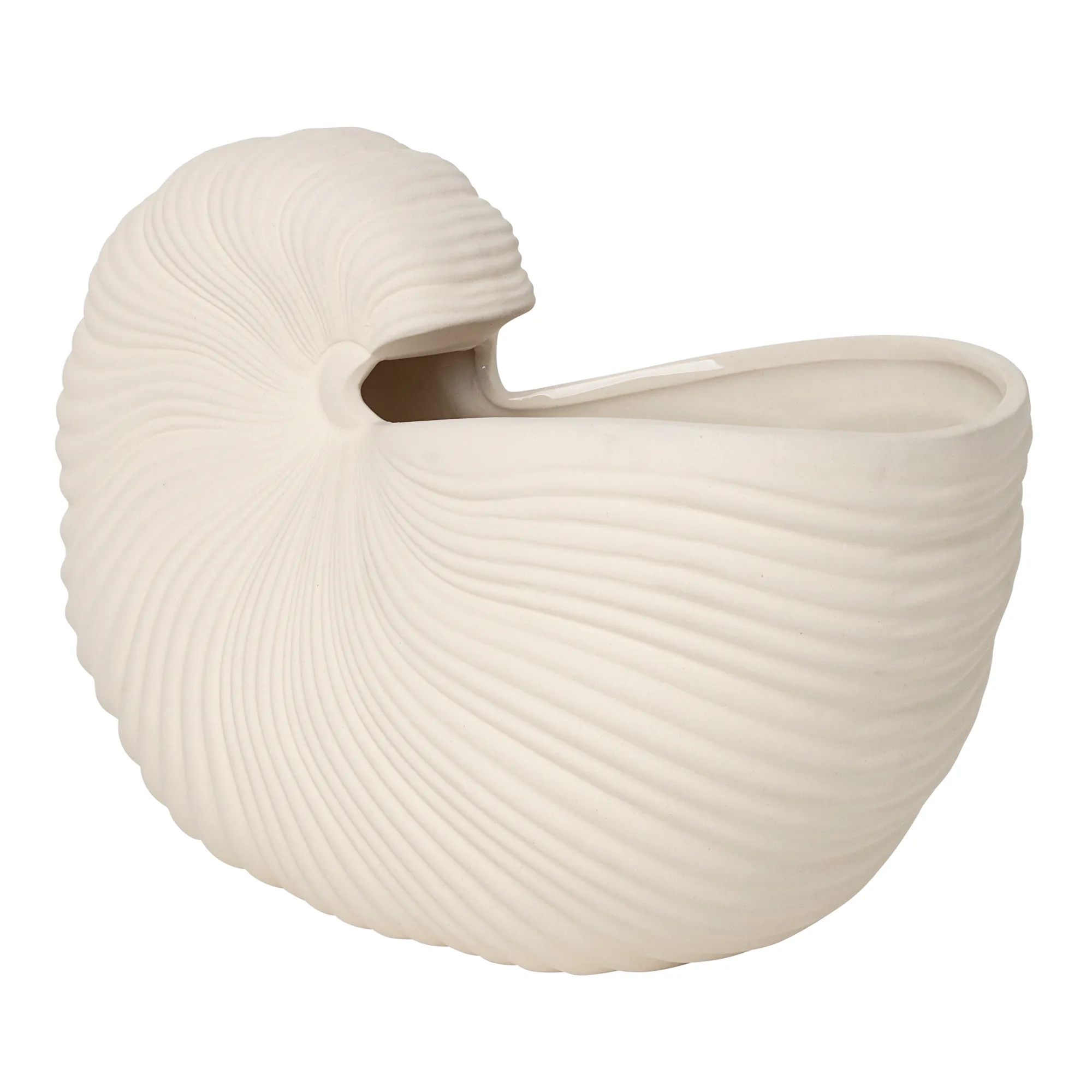 Shell kruka