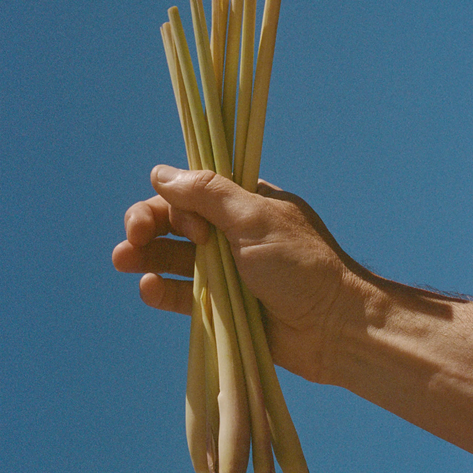076 Lemongrass diskmedel 500 ml - 3