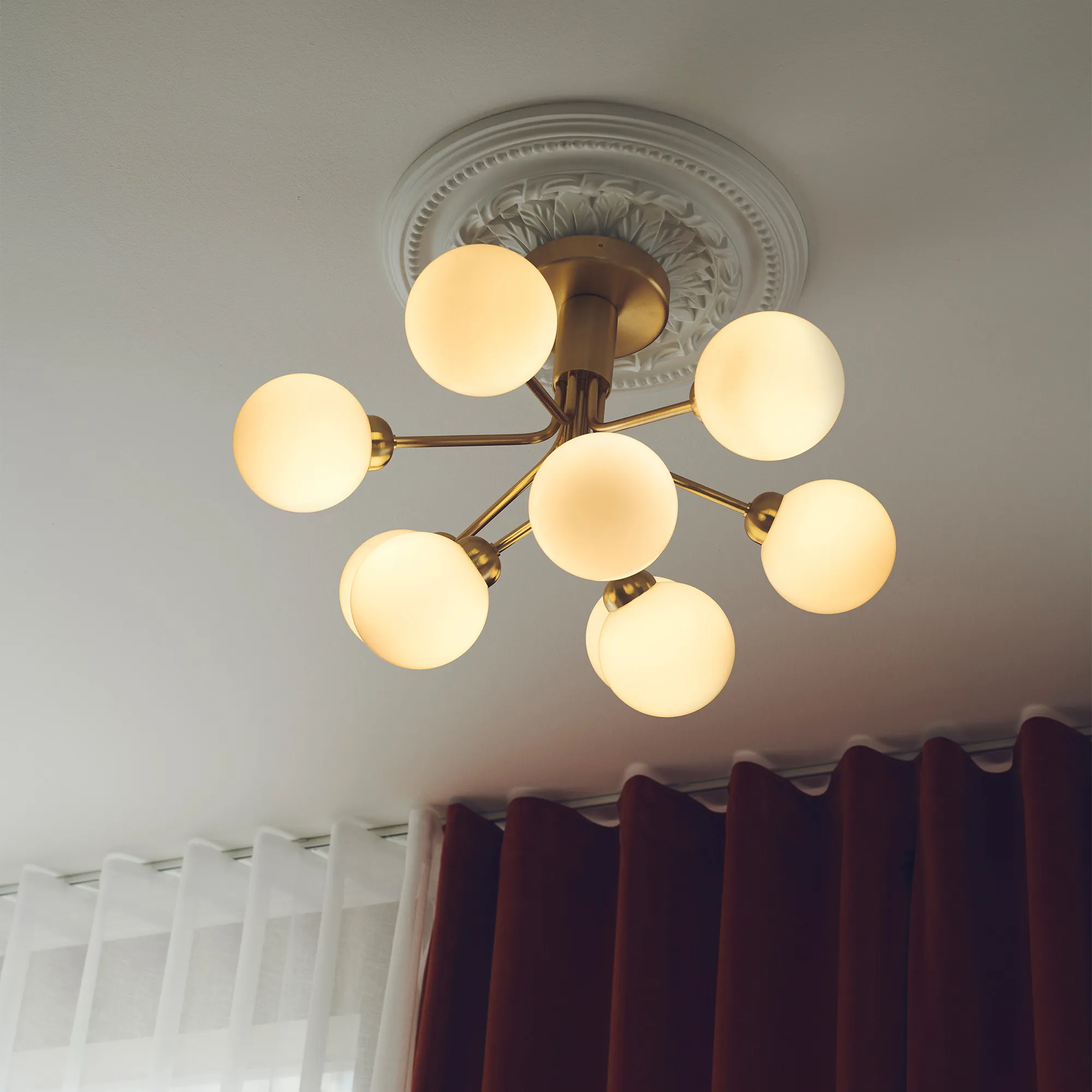 Apiales 9 Ceiling - 5