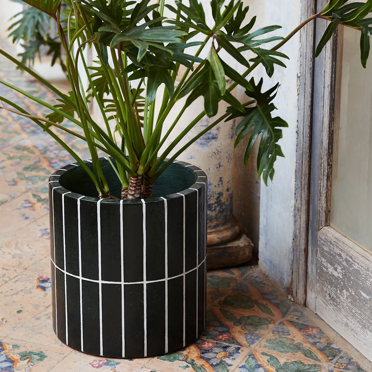 Pillar blomkruka