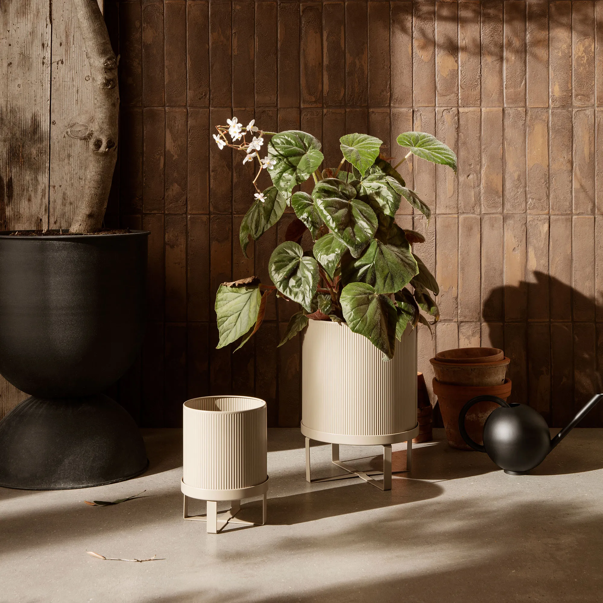 Bau Dark Green blomkruka