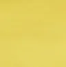 Surf Yellow