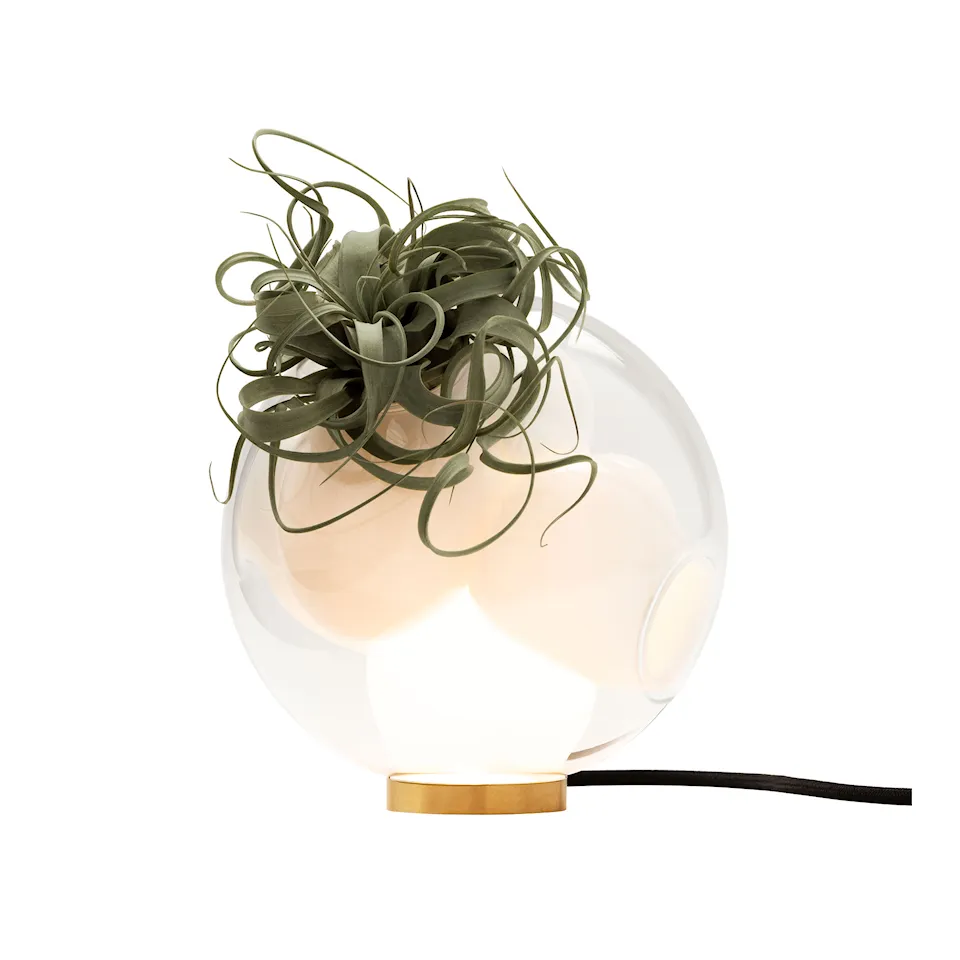 38Vt table lamp