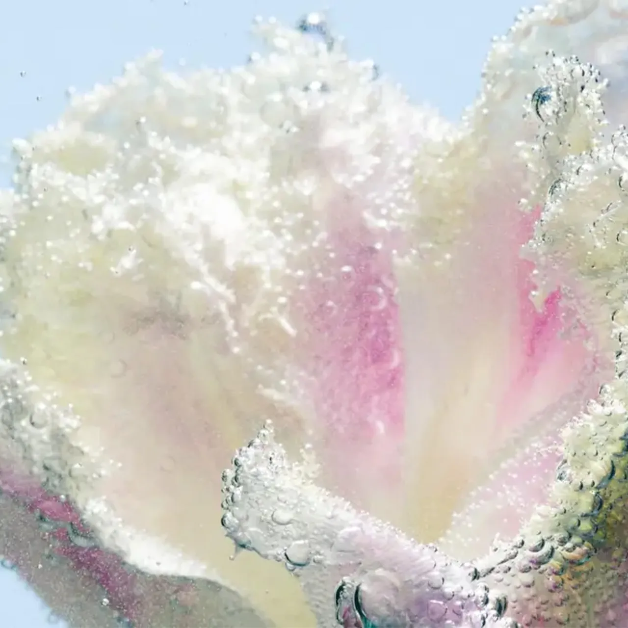 Tulipmania handtvål 450 ml