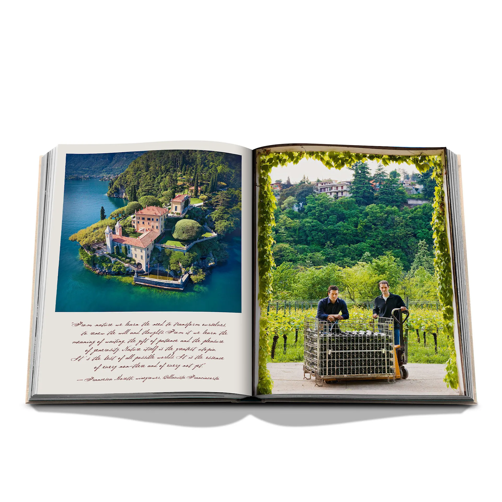 Wine and travel italy - Assouline - NO GA