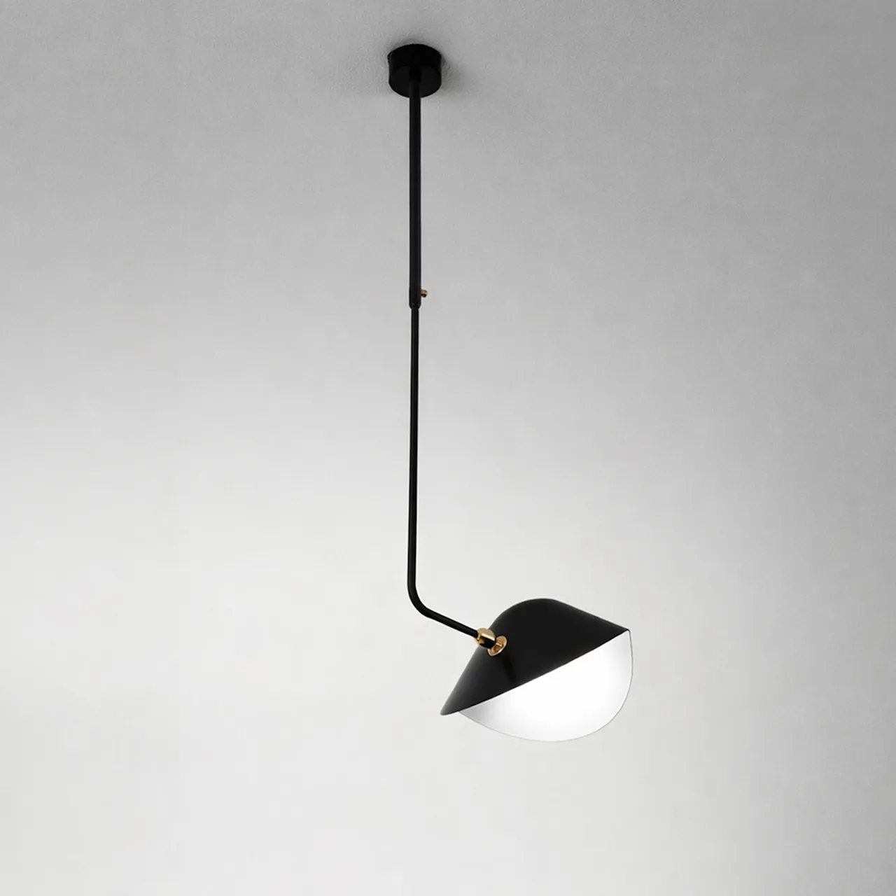 Library Curved pendellampa
