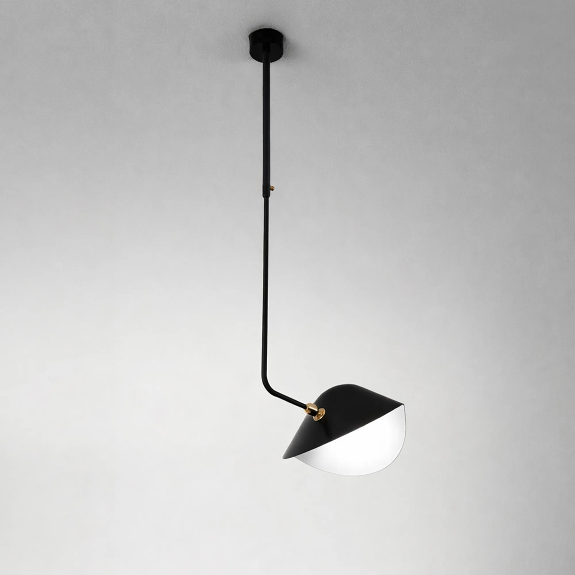 Library Curved pendellampa - 2