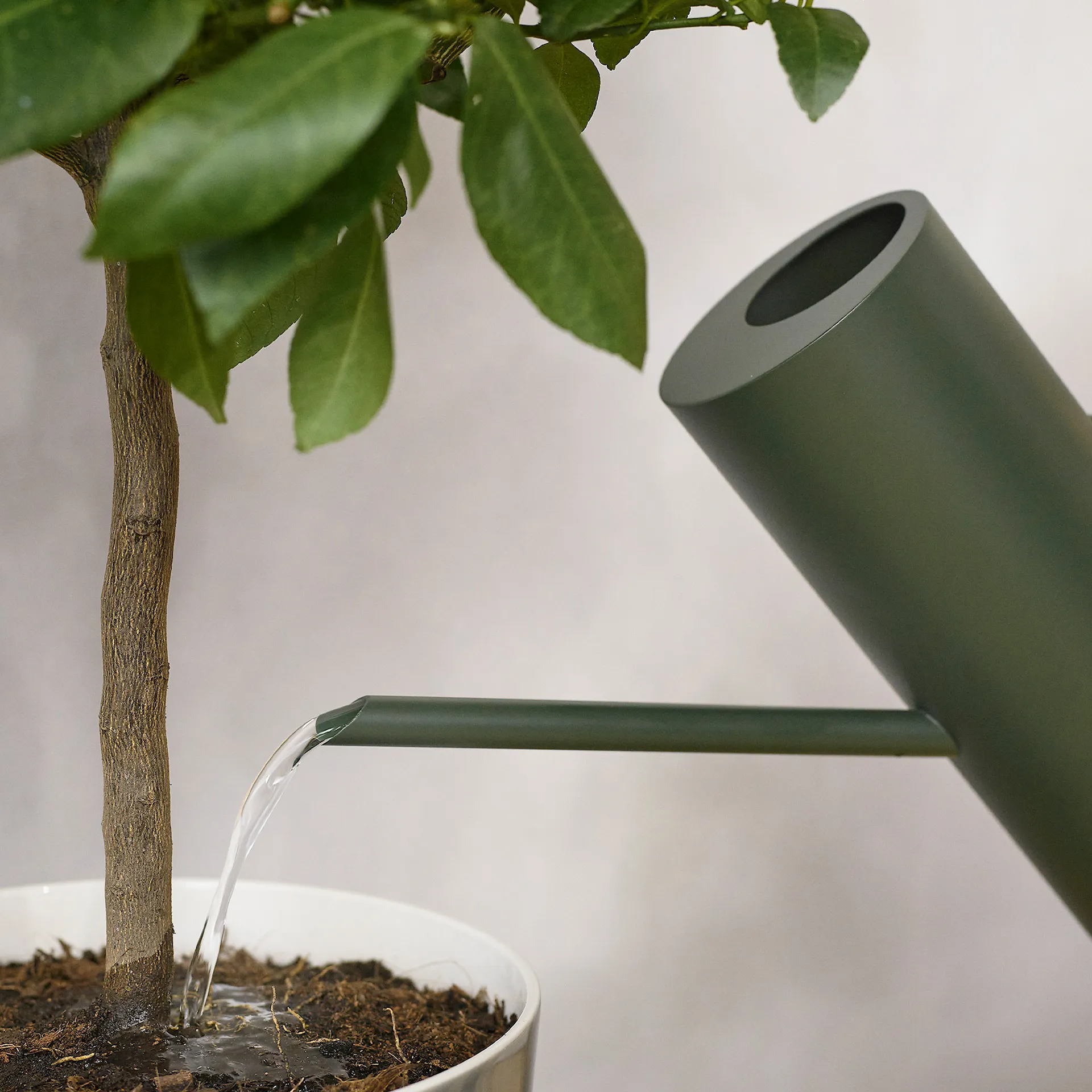 Bloom Vattenkanna 2 L - Stelton - NO GA