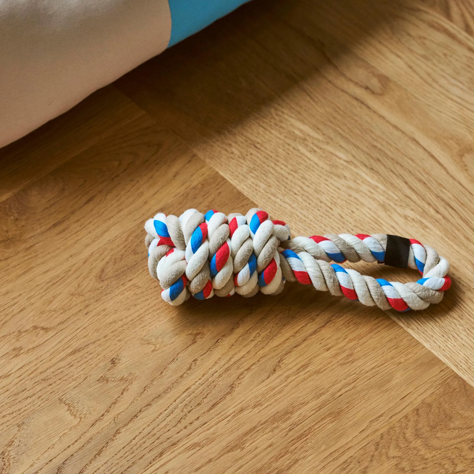 HAY Dogs Rope Toy - HAY - NO GA