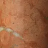 Breccia Pernice Marble