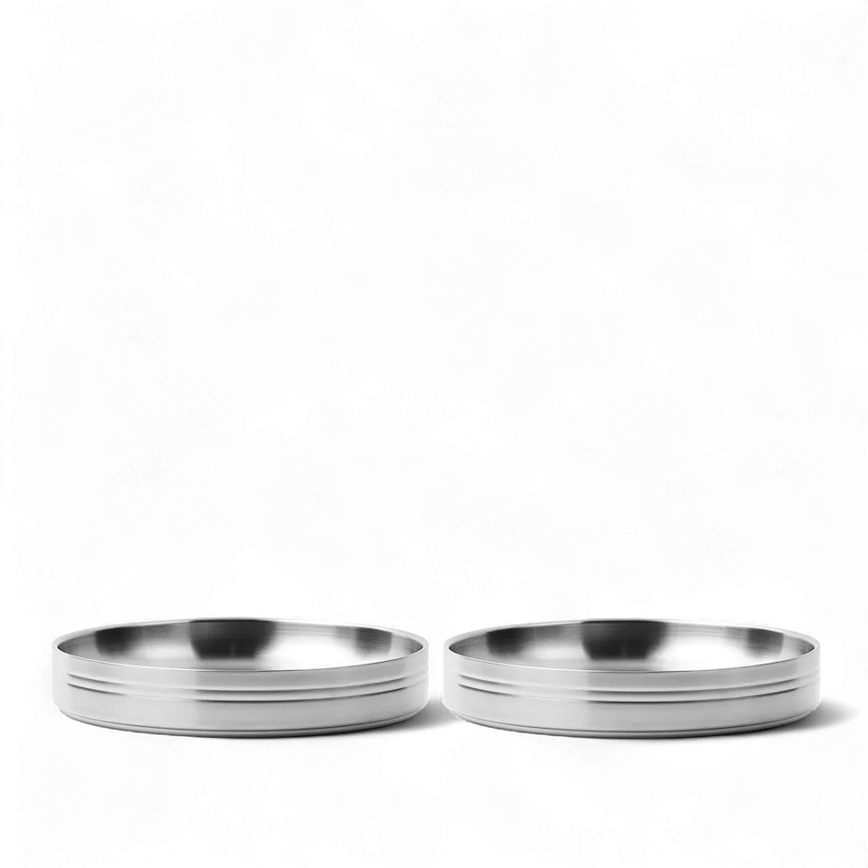 Stainless Steel Pastatallrik - Set of 2