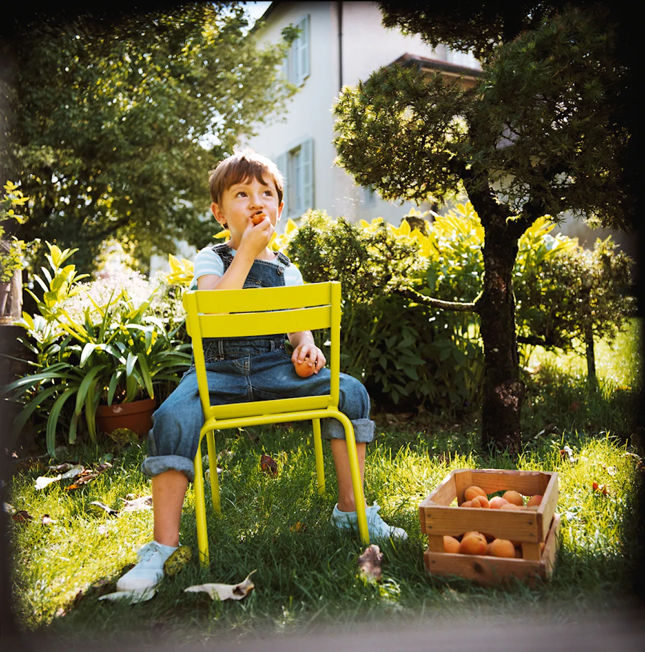 Luxembourg Kid Chair Cedar Green 02