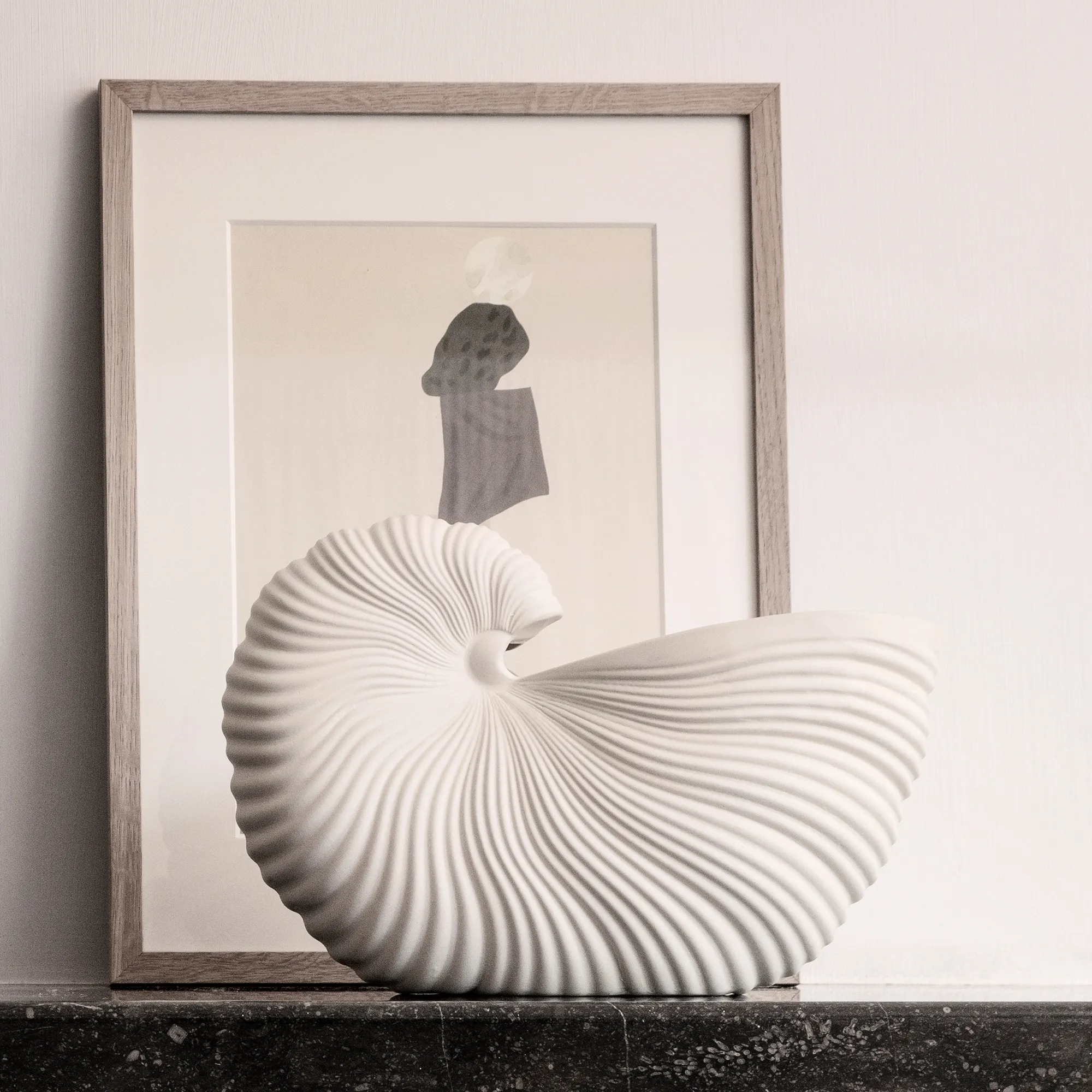 Shell kruka