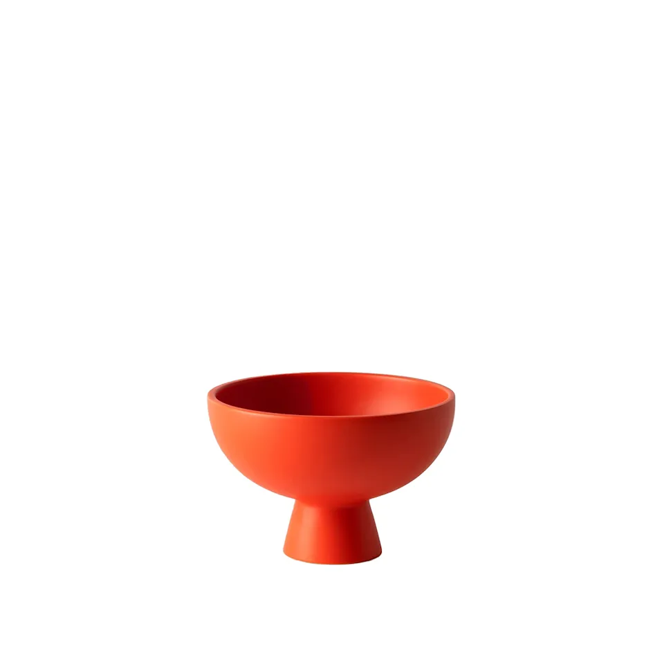 Strøm skål mellan strong coral
