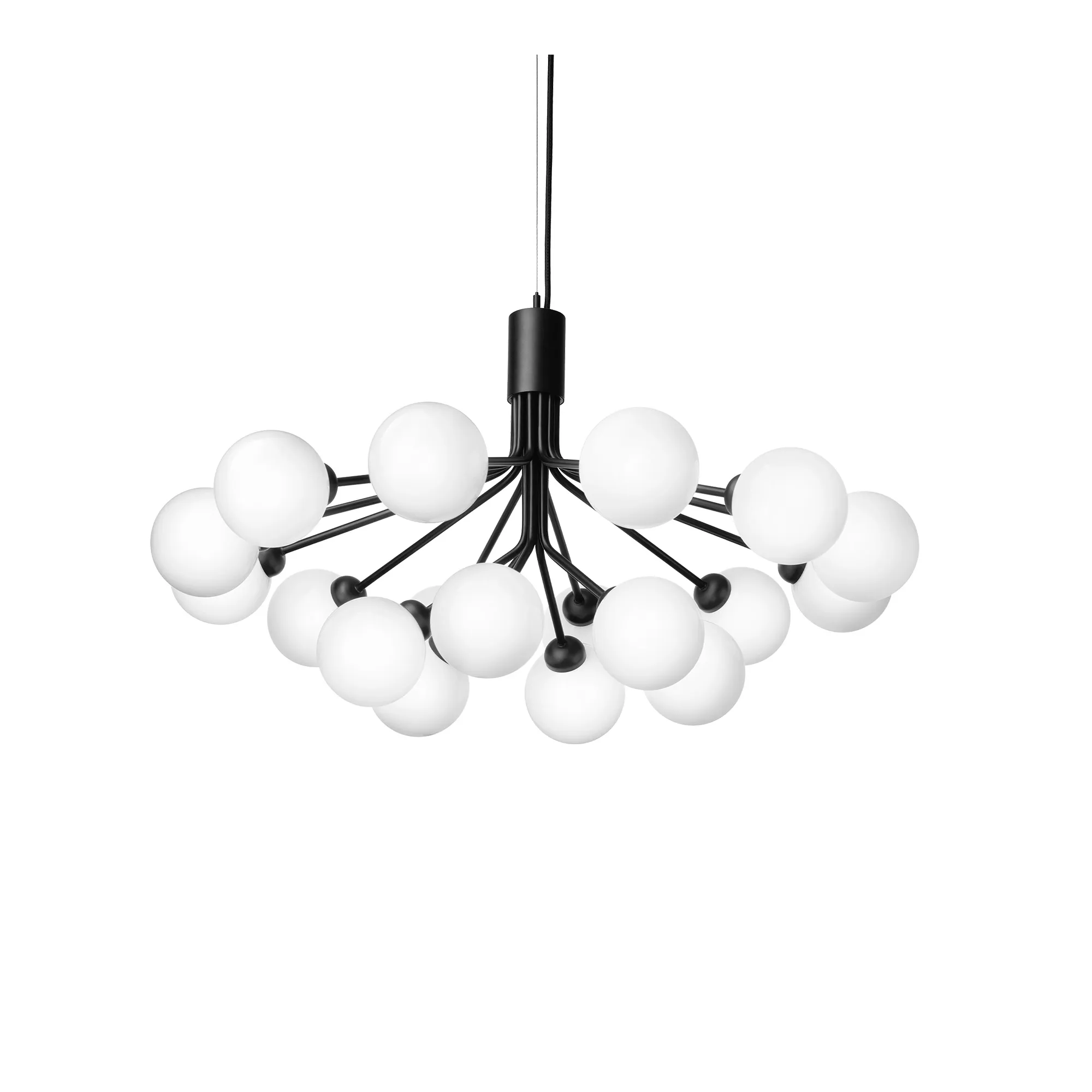 Apiales 18 Pendant - 1