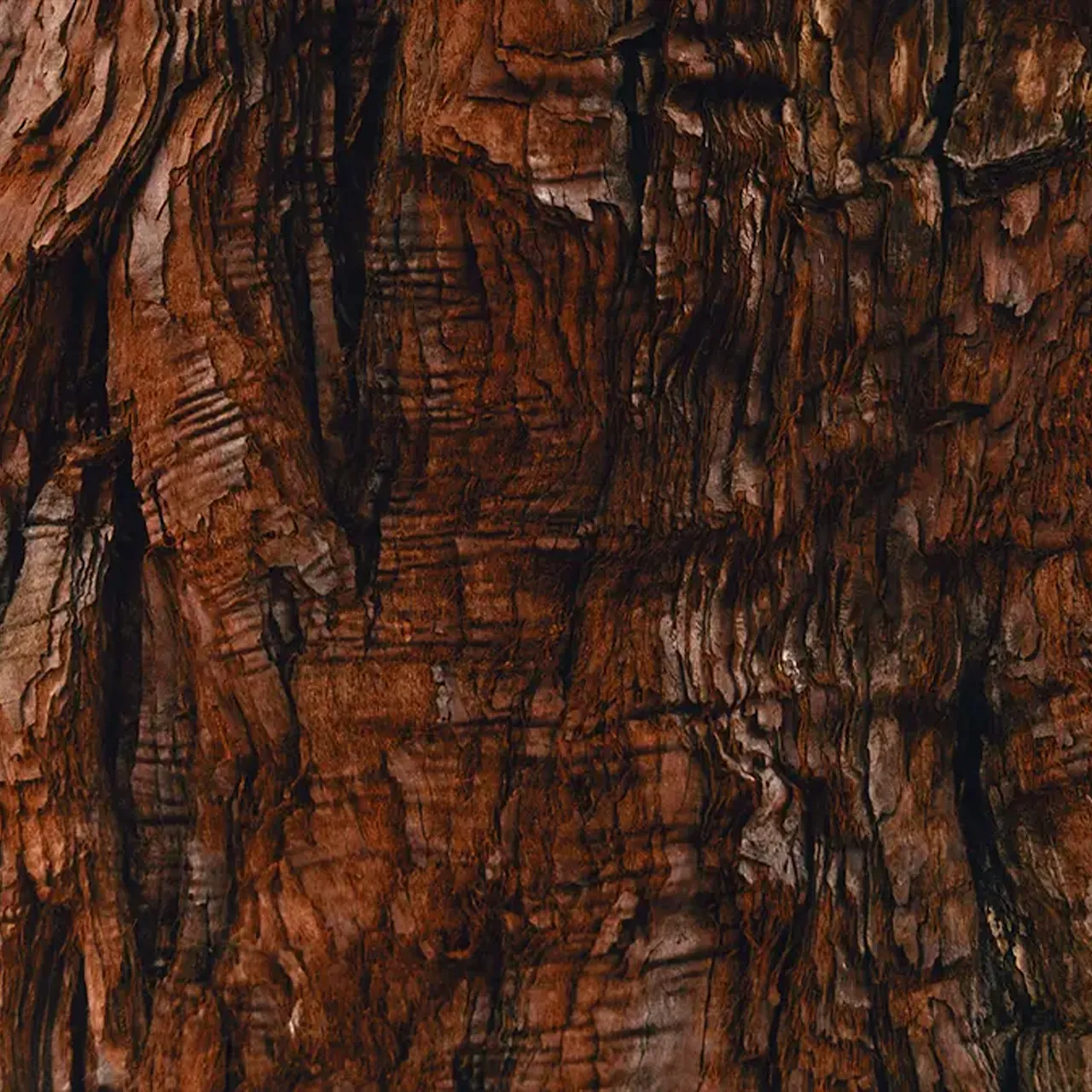 Woods doftljus