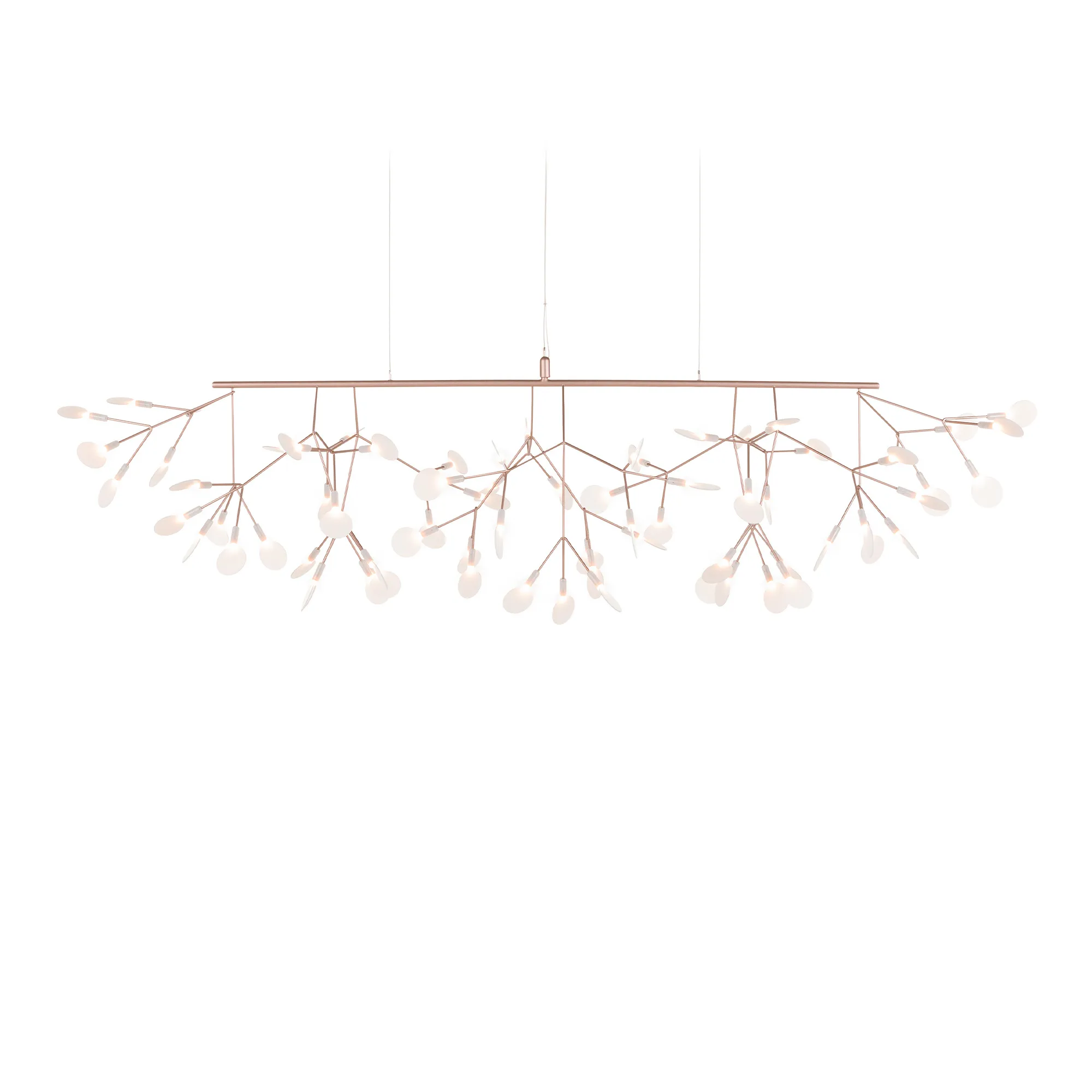 Heracleum III Linear takkrona - 1