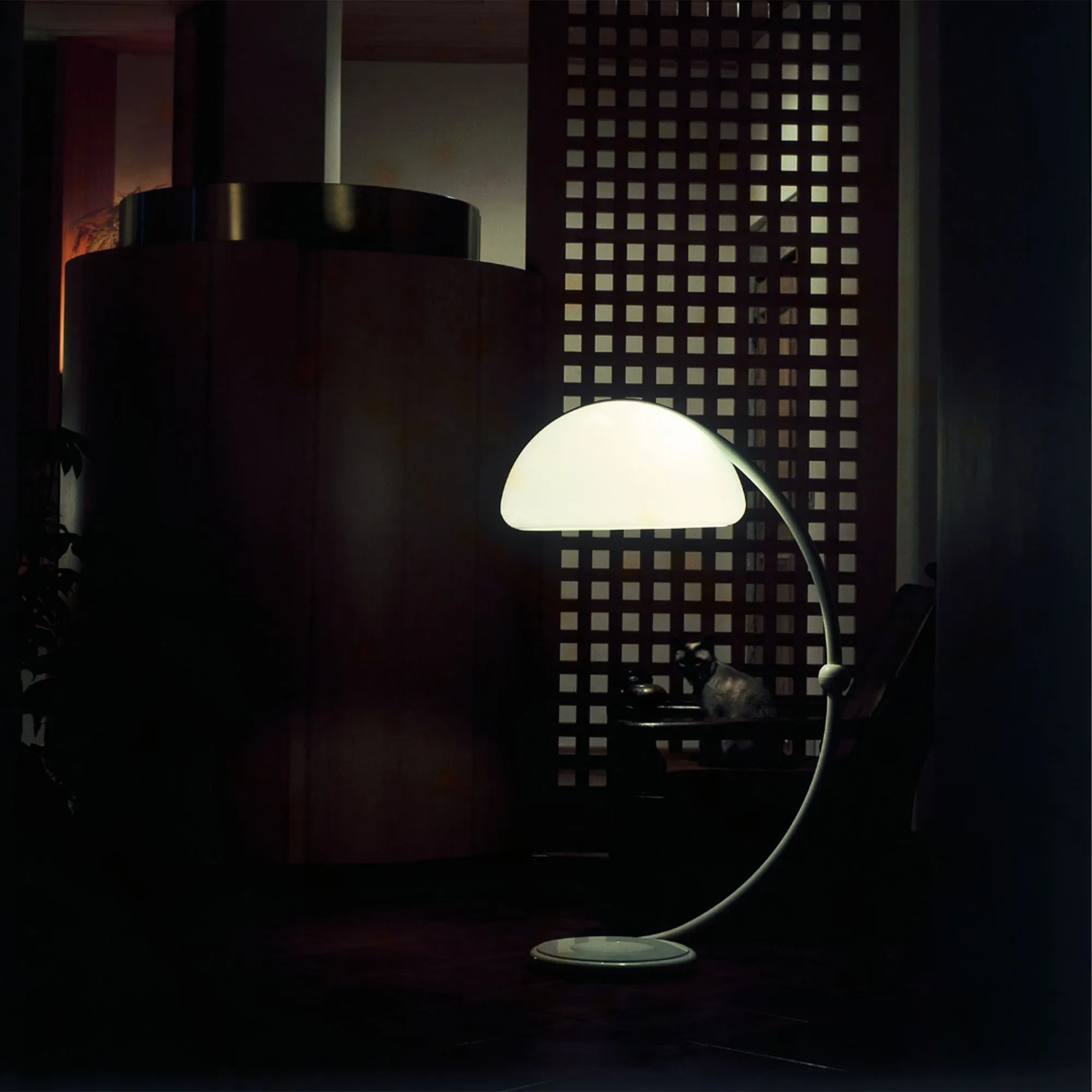Serpente 2131 golvlampa - 4