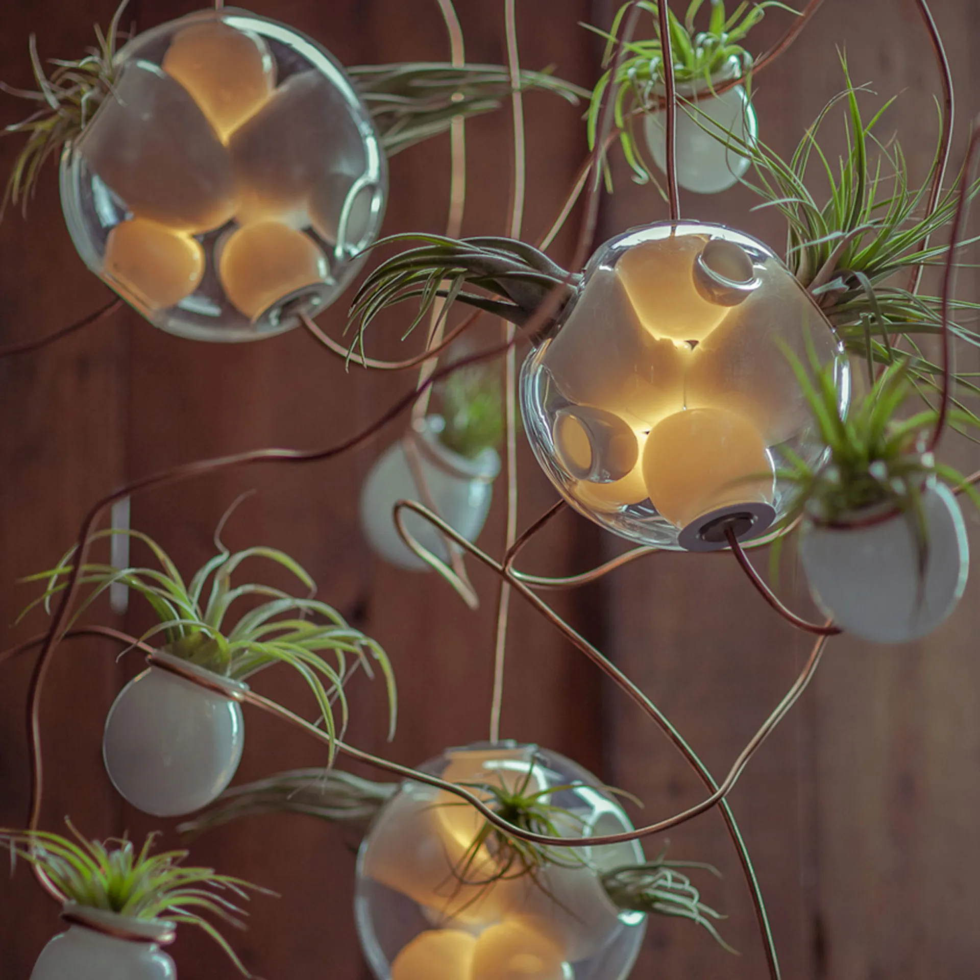 38.28 - Bocci - Omer Arbel - NO GA