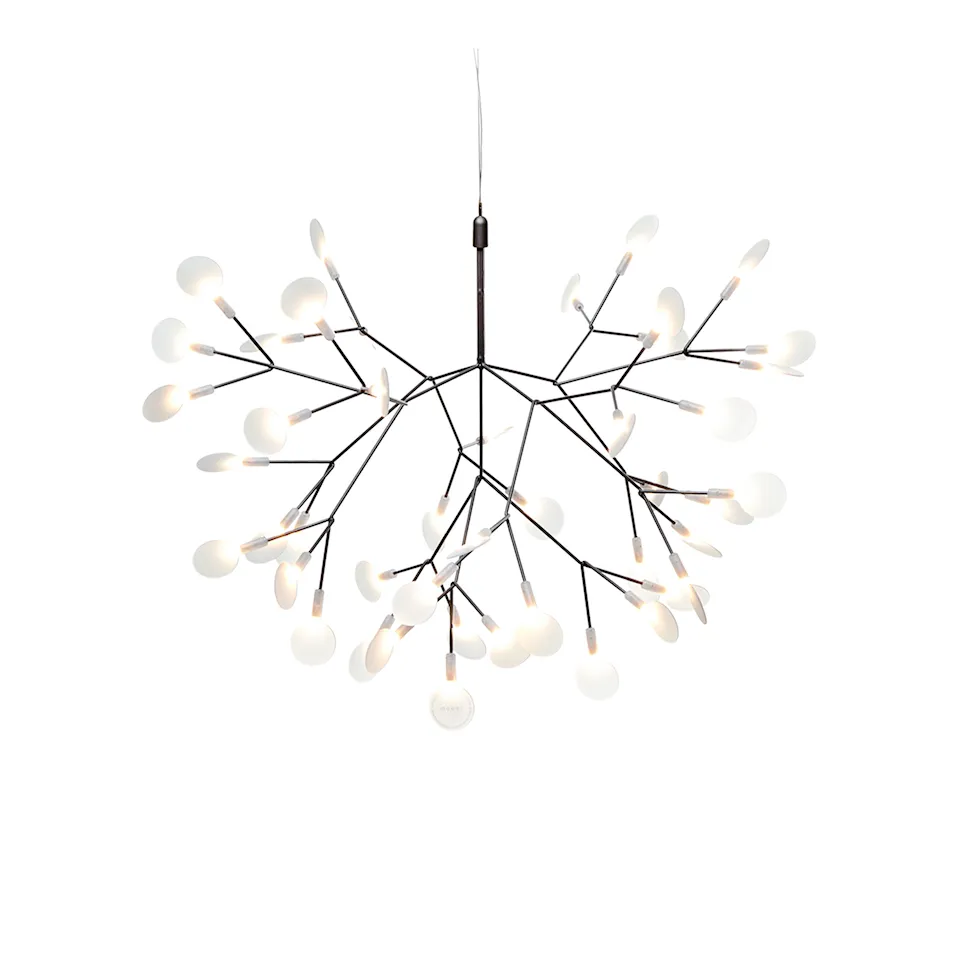 Heracleum III Small takkrona