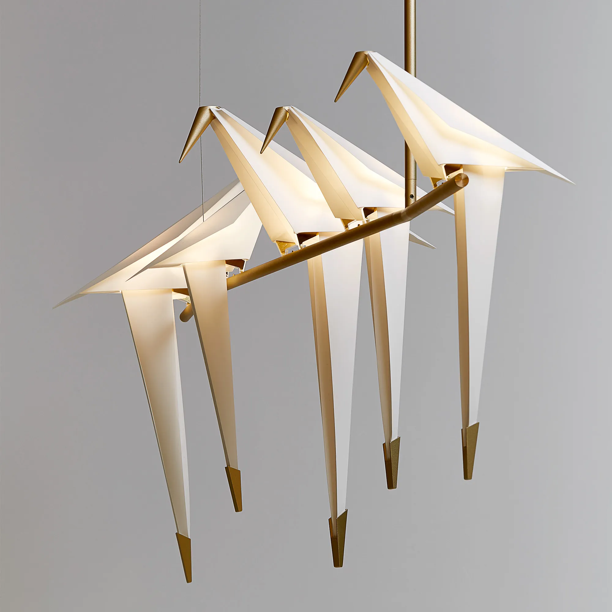 Perch Light Branch - 3