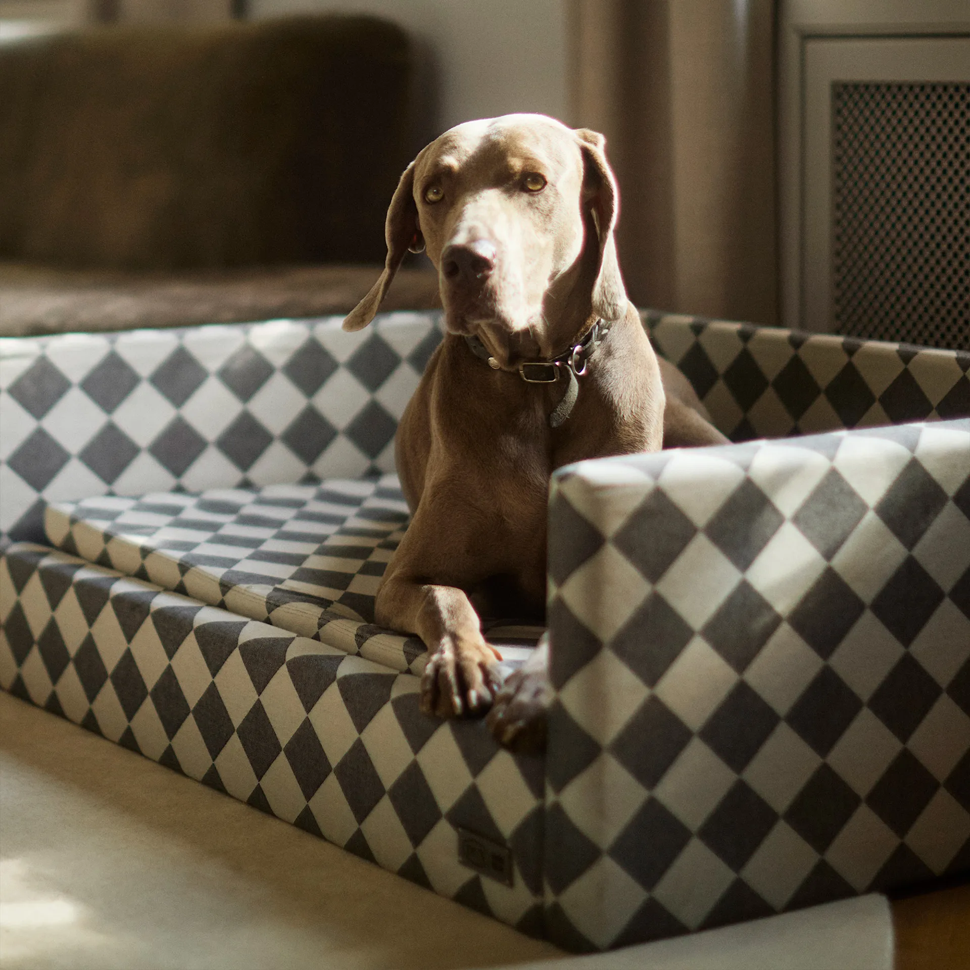 DUX Premium Dog Bed by Nordiska Galleriet - DUX - NO GA