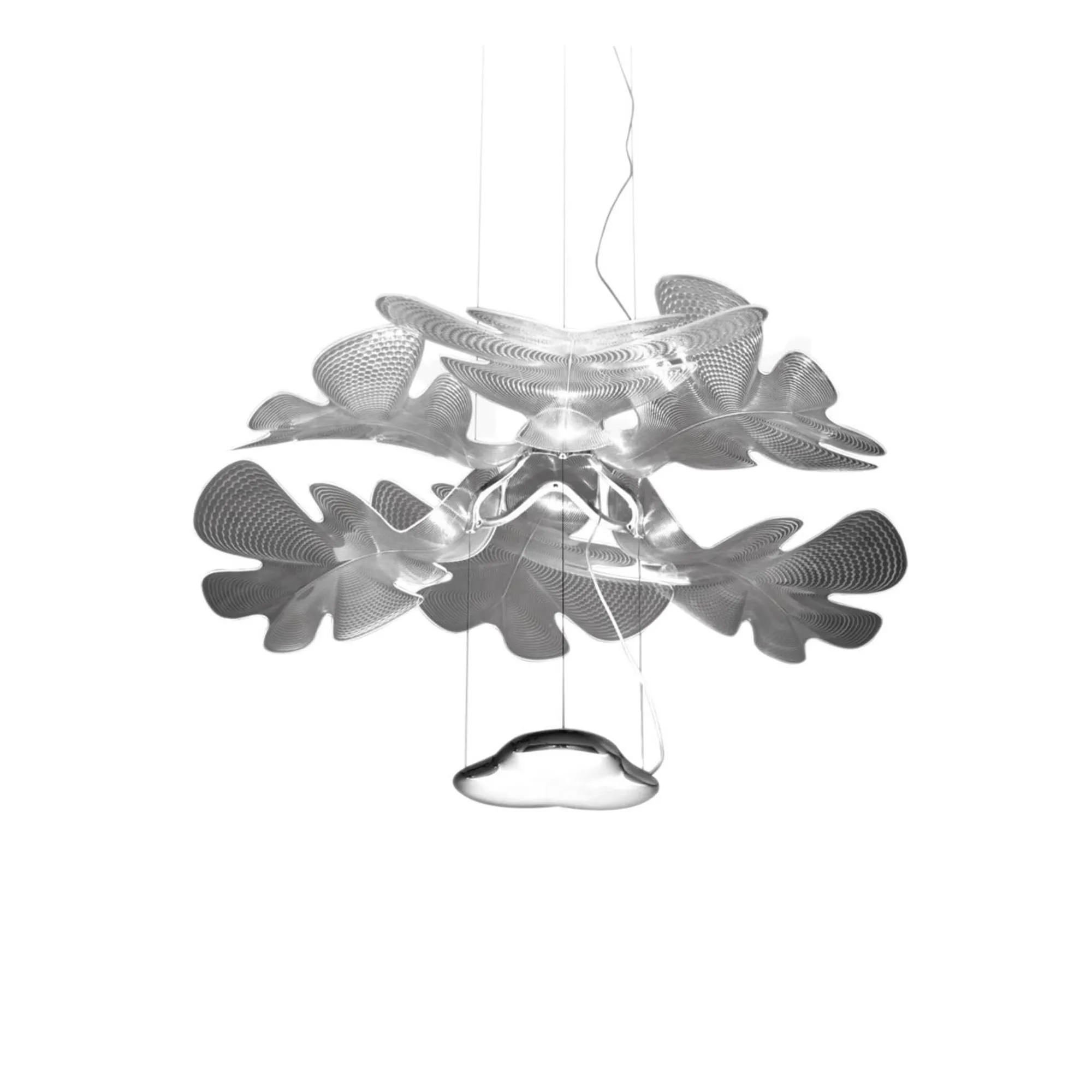 Chlorophilia Pendellampa - 1