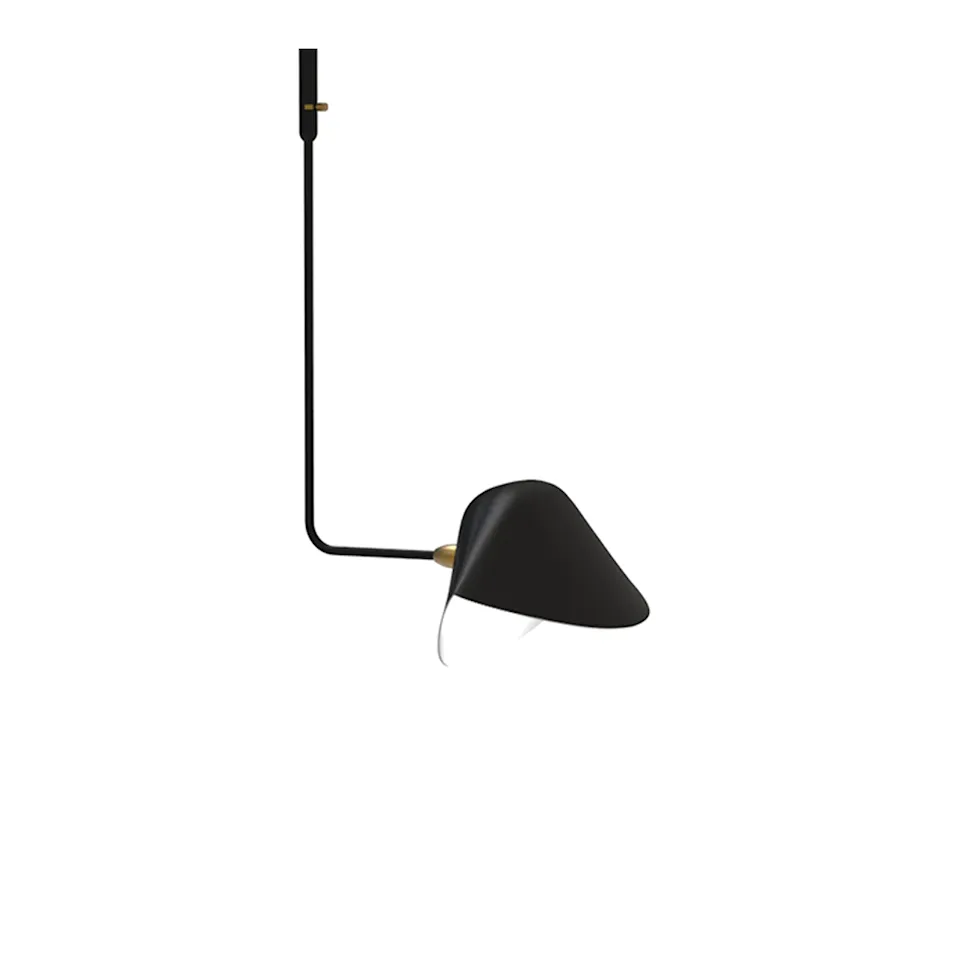 Library Curved pendellampa