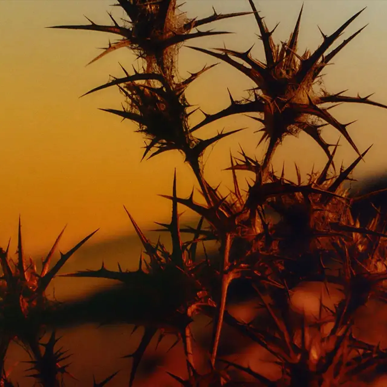Peyote Poem doftljus