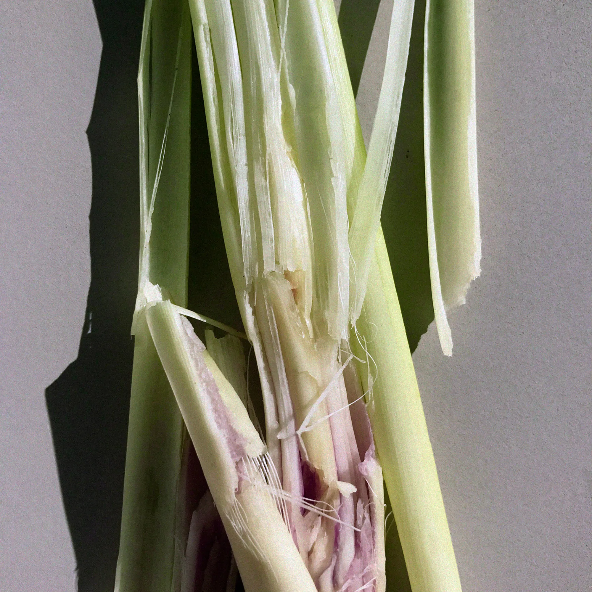 076 Lemongrass diskmedel 500 ml - 4