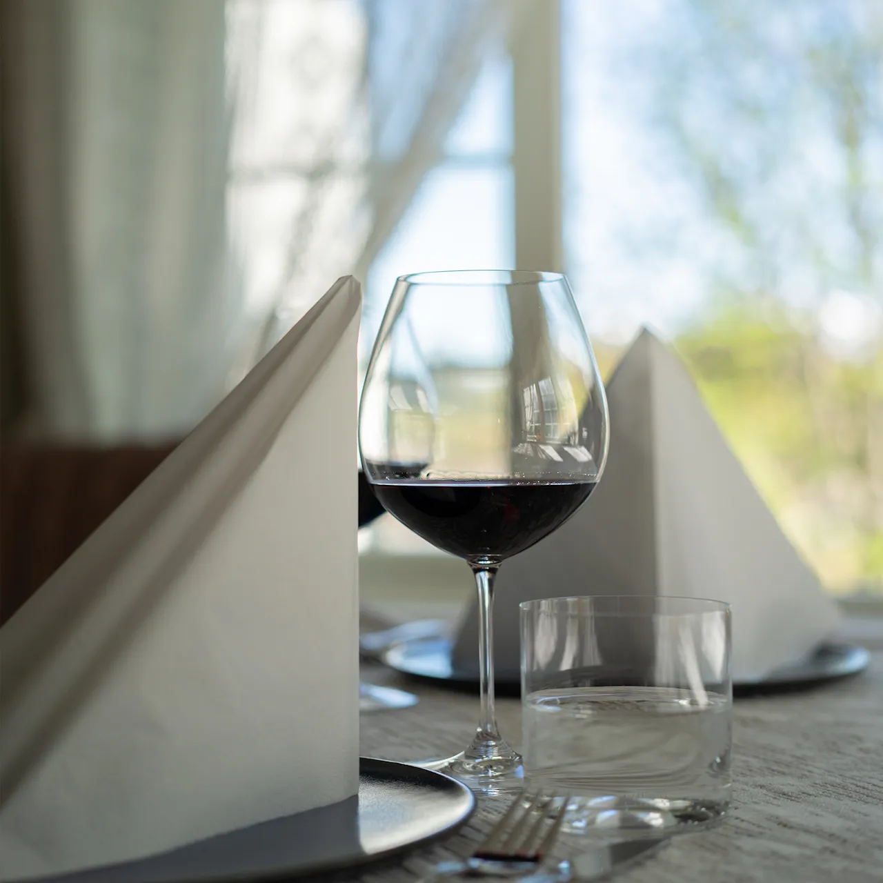 Vinum Pinot Noir Burgundy 2-Pack
