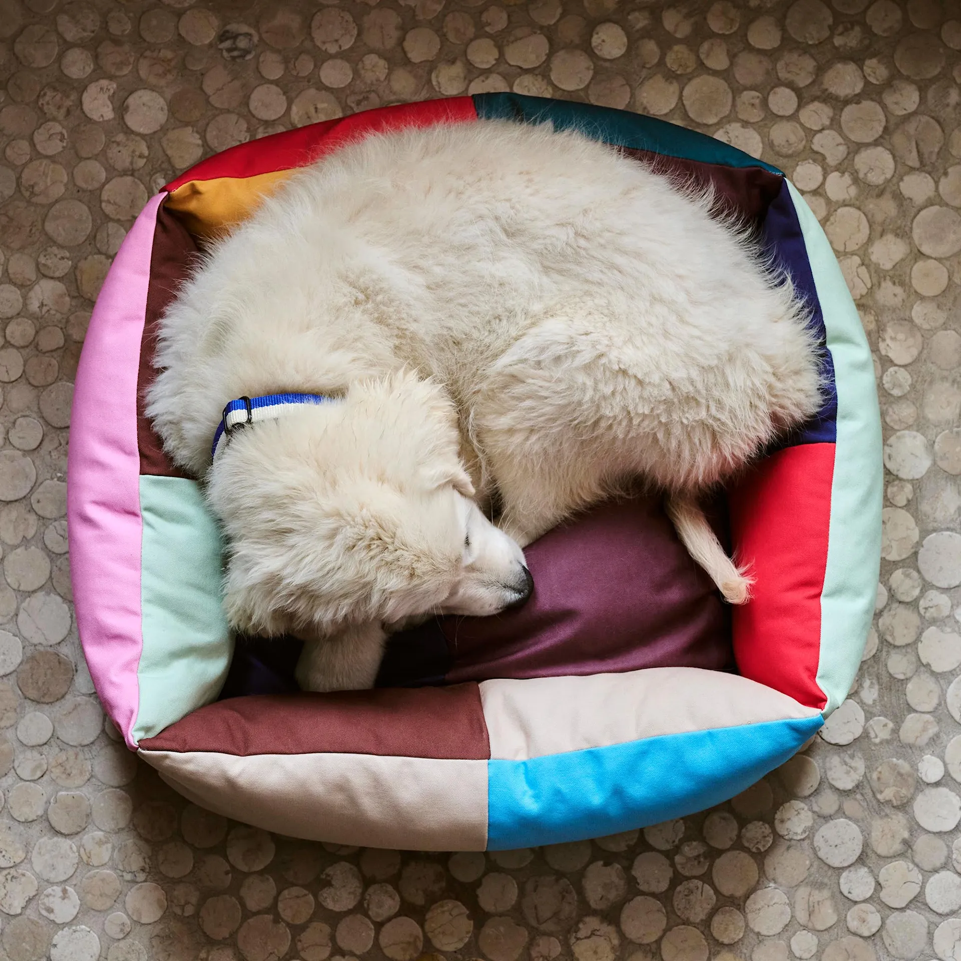 HAY Dogs Bed Small - HAY - NO GA