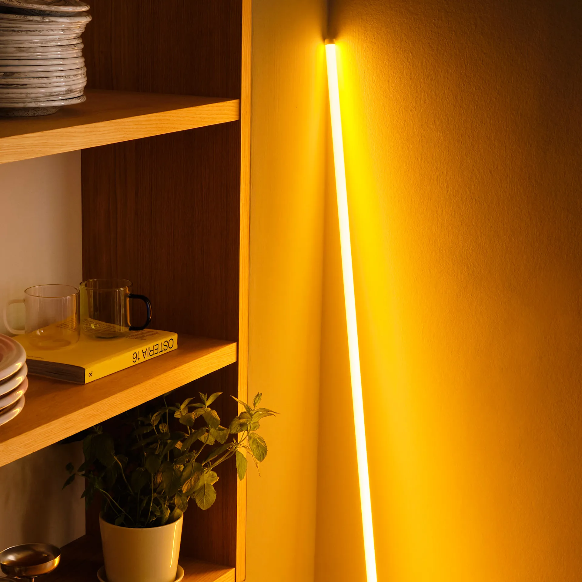 Neon Tube LED Slim Lamp - HAY - NO GA