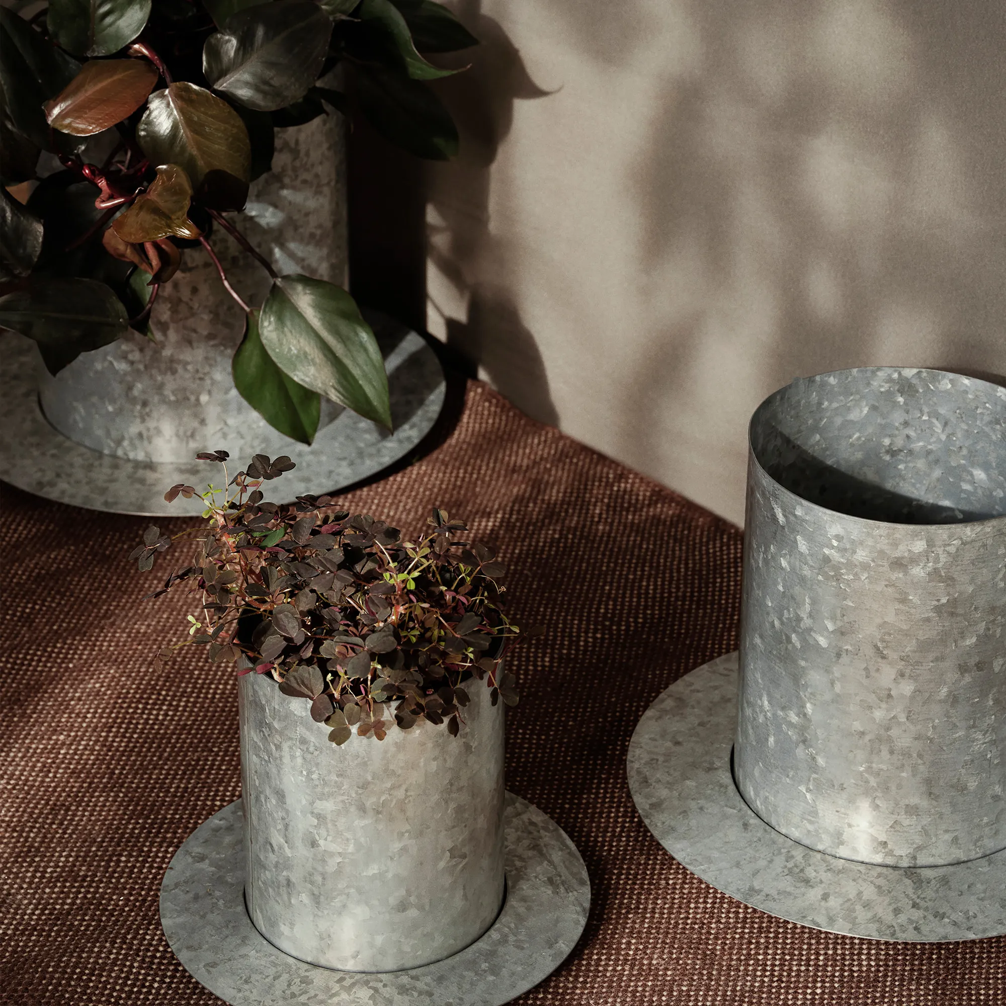 Auran Medium blomkruka