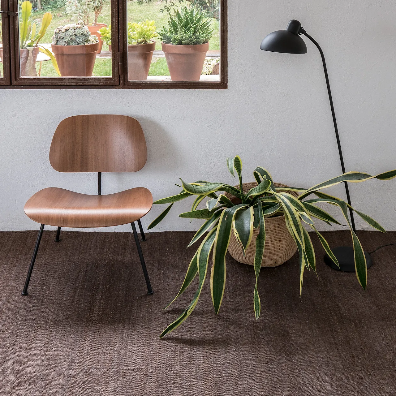 Vegetal jutematta Brown