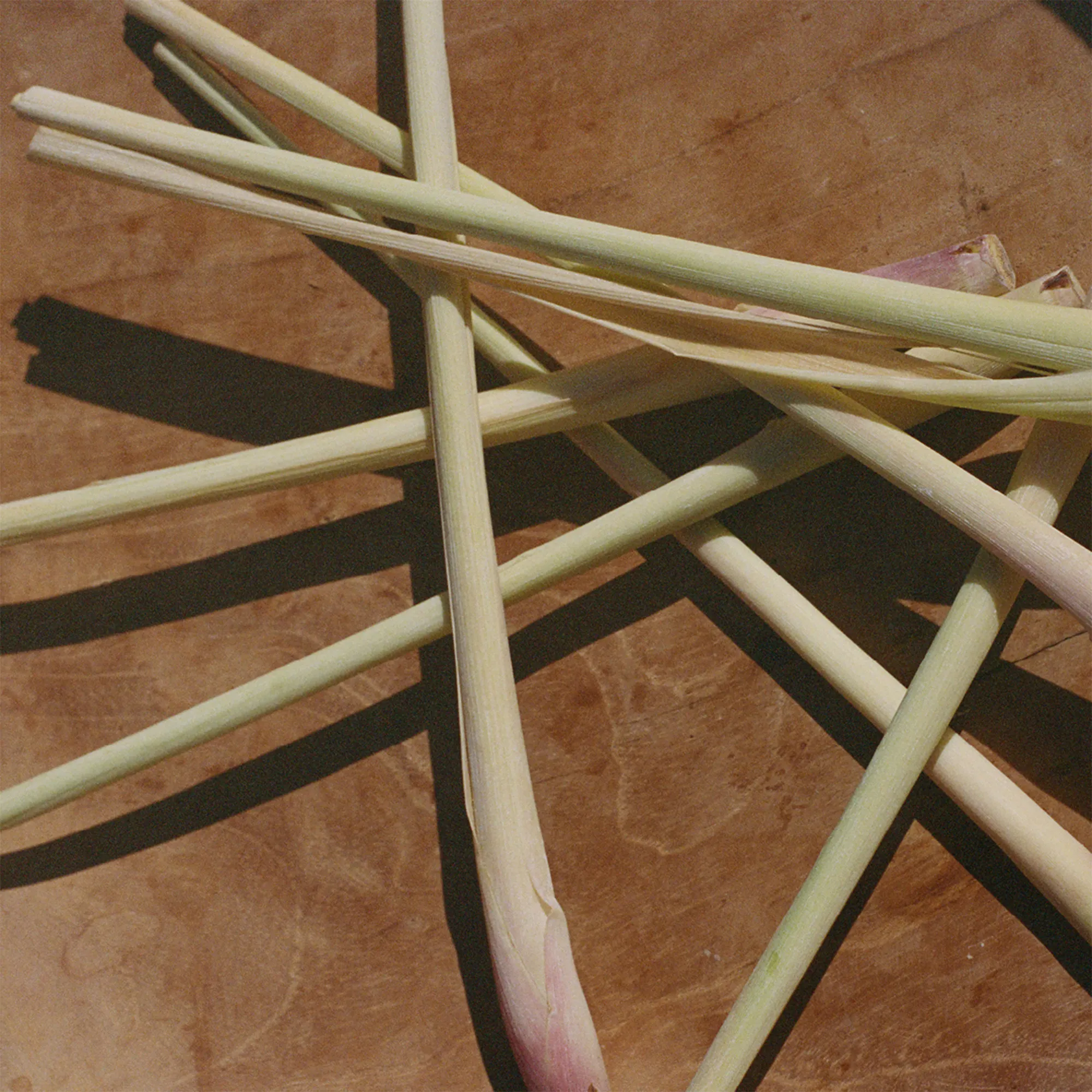 076 Lemongrass diskmedel 500 ml - 5