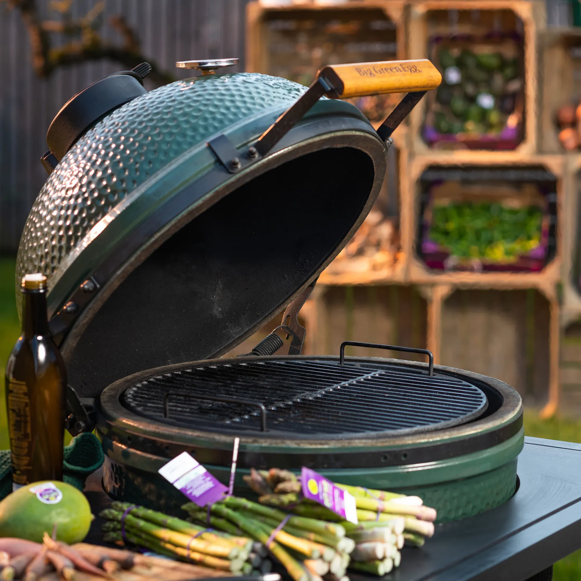 Big Green Egg Medium - Big Green Egg - NO GA