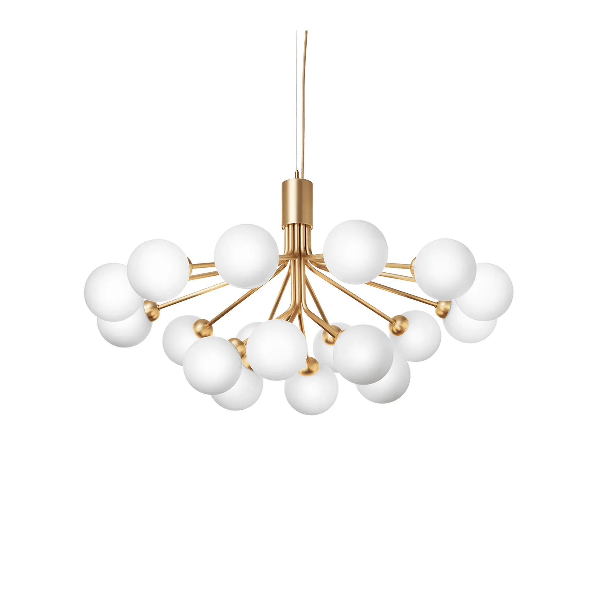Apiales 18 Pendant - 1
