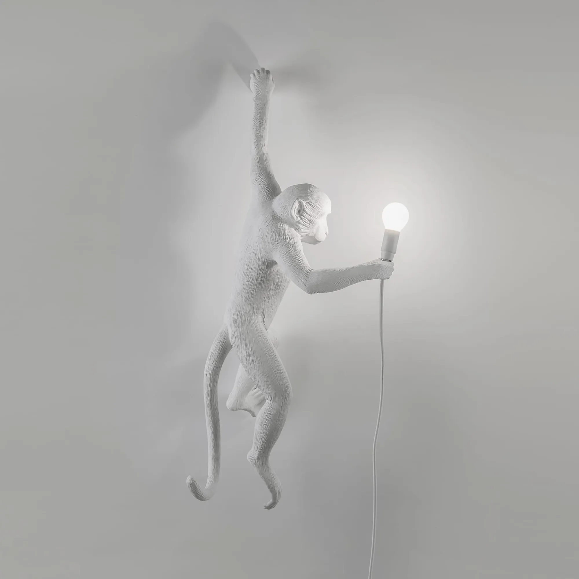 Monkey Lamp Hanging - 2