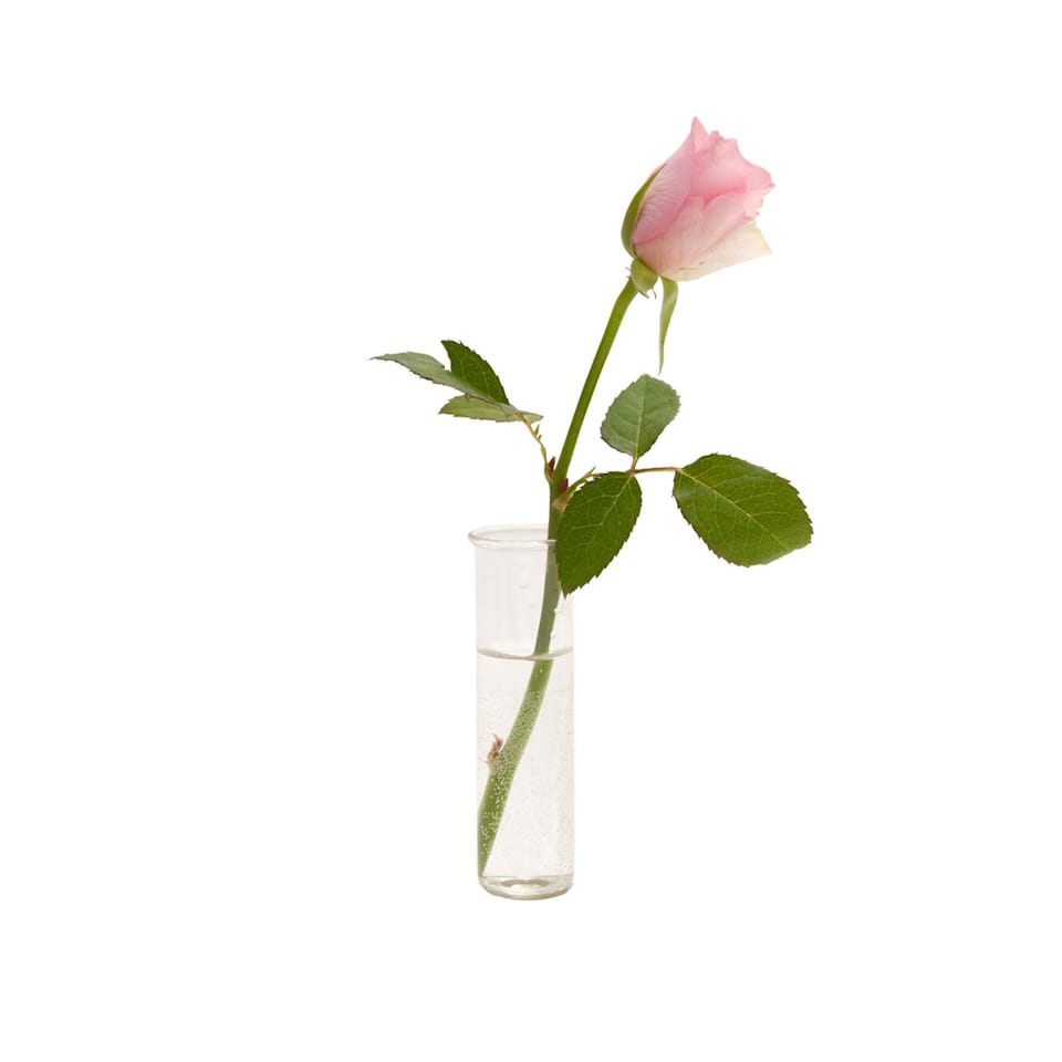 Flora glass vase for Vesper
